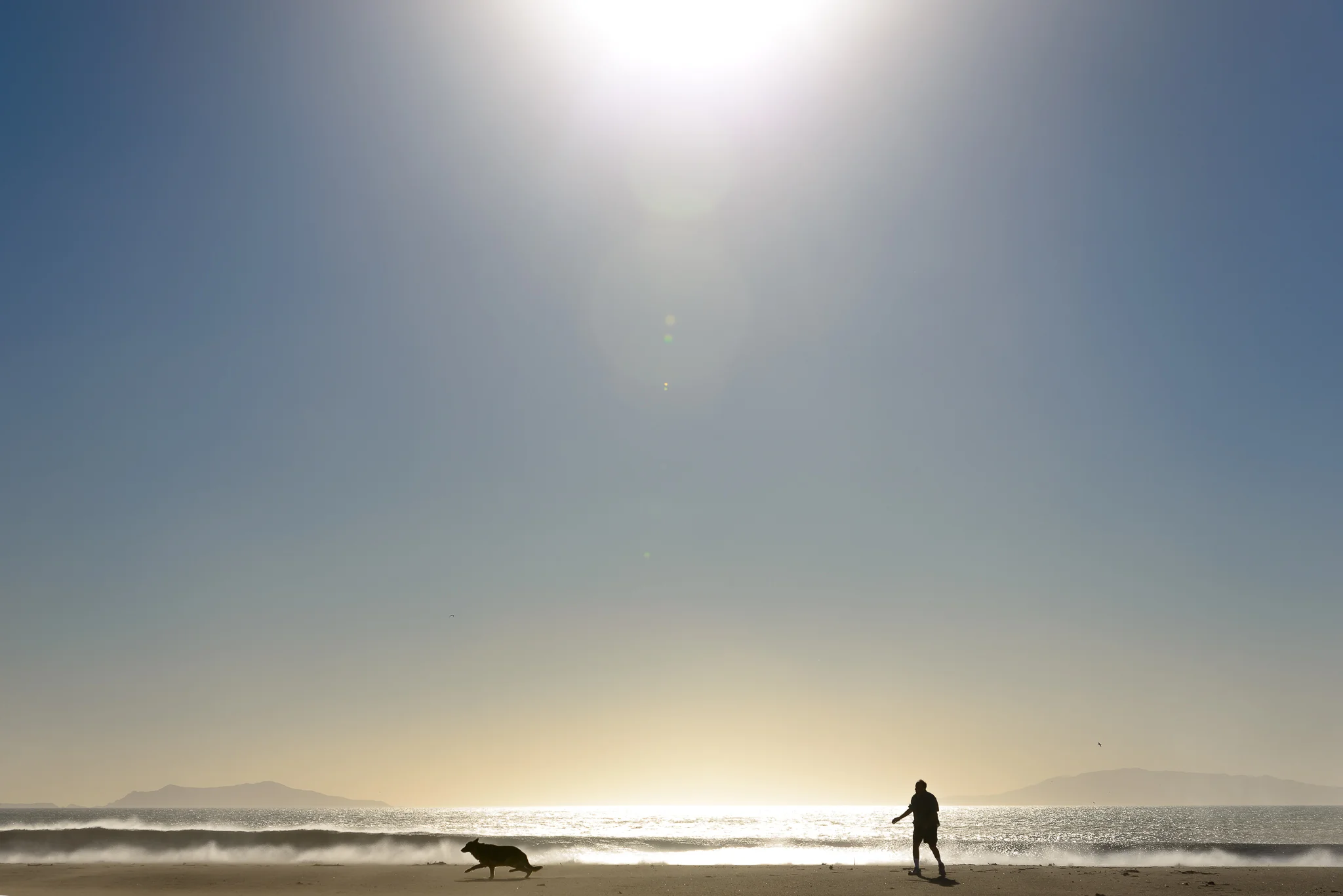 oxnard_beach_man_dog.jpg
