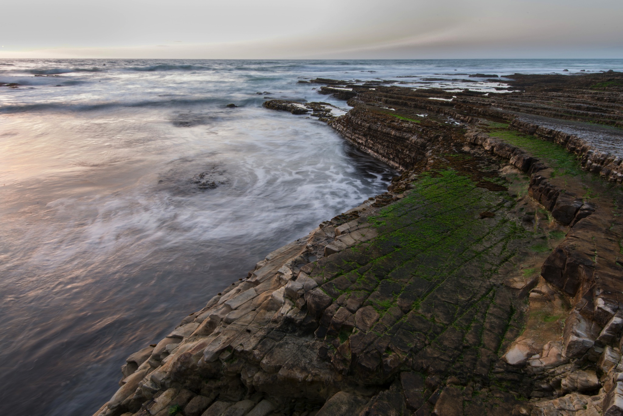 John Adams - Montana De Oro Spring Workshop