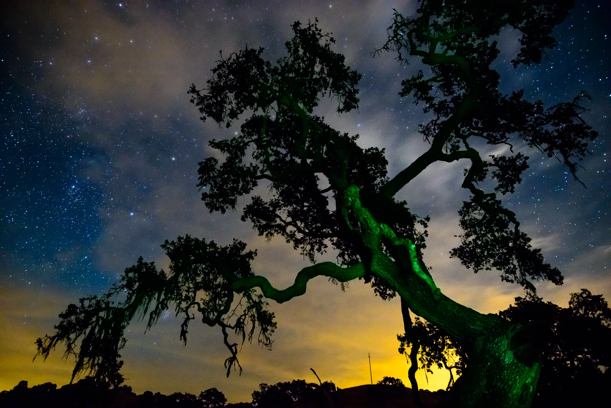 Countryside Contamination