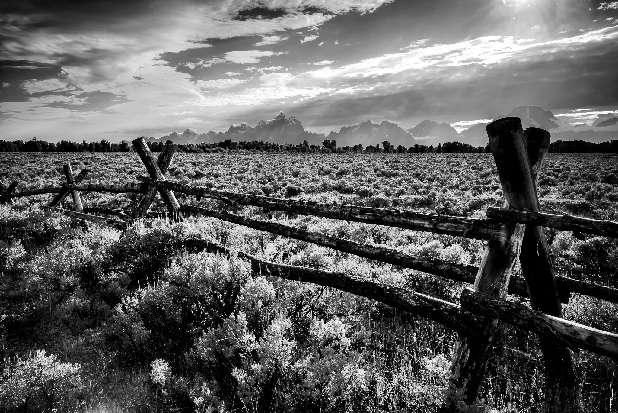 Cattle Stop