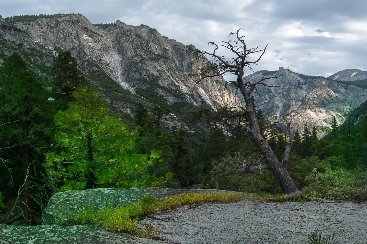 Tyler Whalen - Kings Canyon Summer Workshop