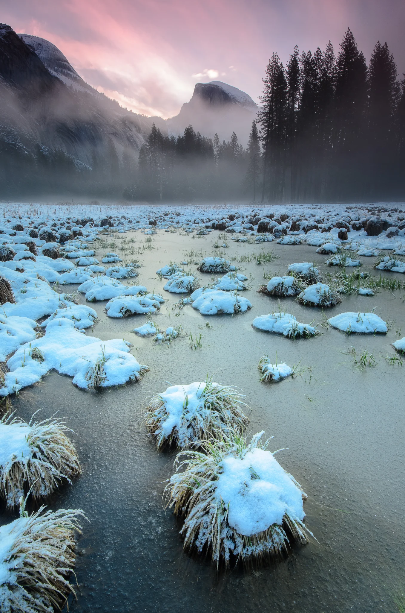 Paper thin ice covers a puddle in Yosemite's Cook Meadow.