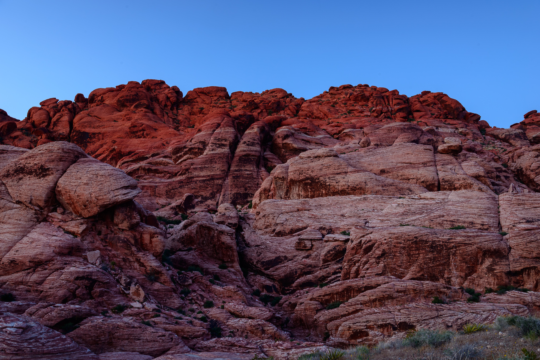 Really, that's what the rocks look like!. Red Rock National Conservation Area, NV.