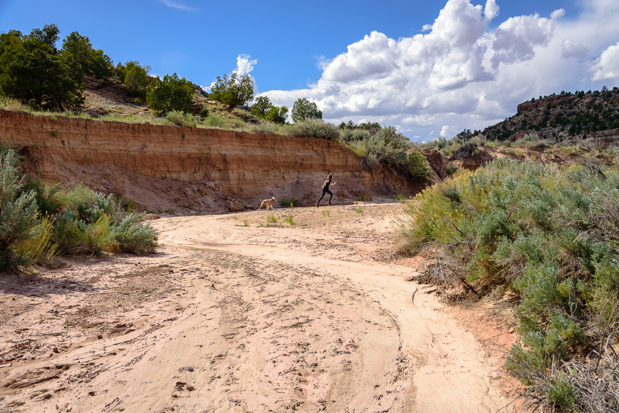 Just a girl and her dog frolicking through the Escalante River wash. Petrified Forest State Park, Escalante, UT.