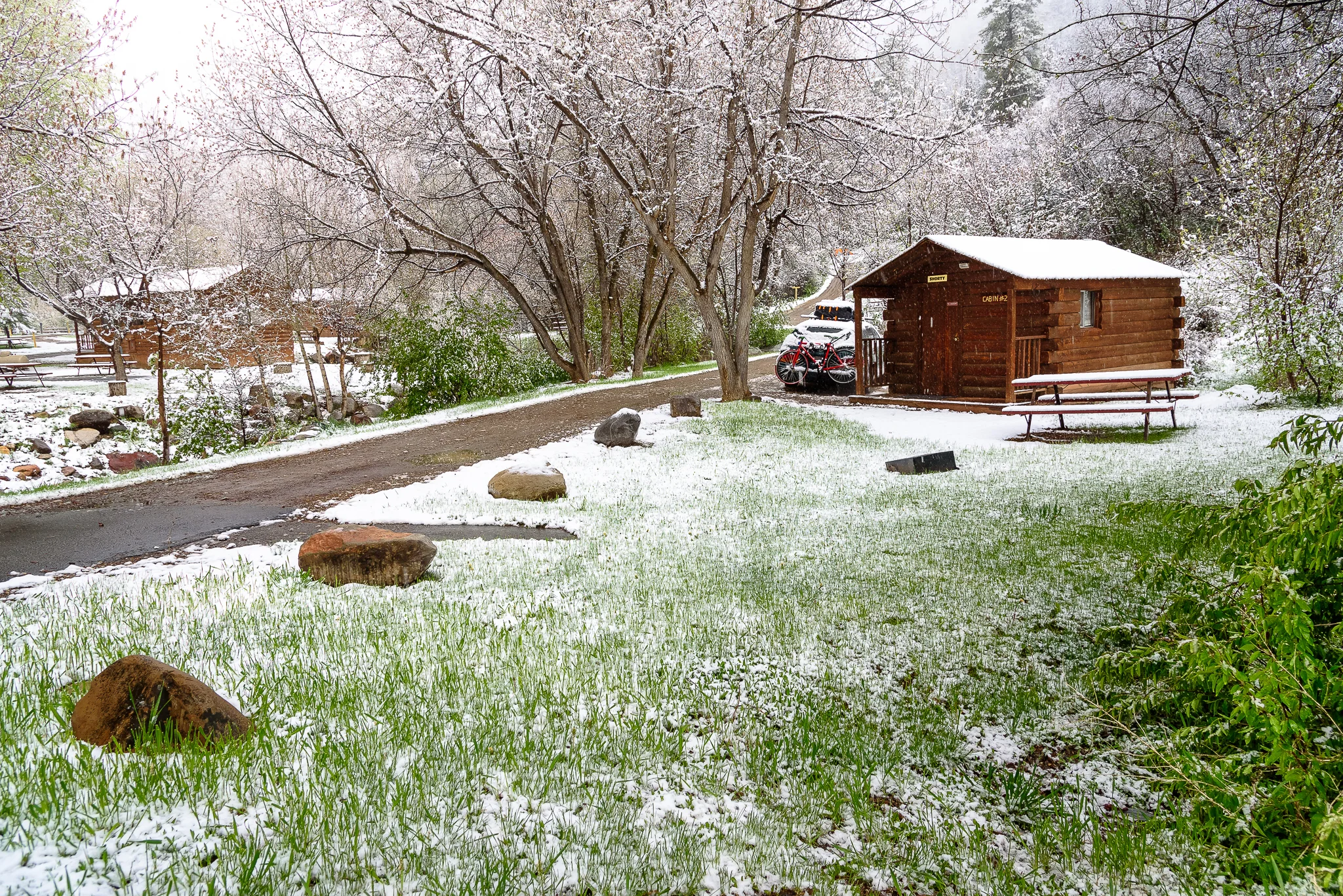 Choosing to go cabin over tent, pro move.