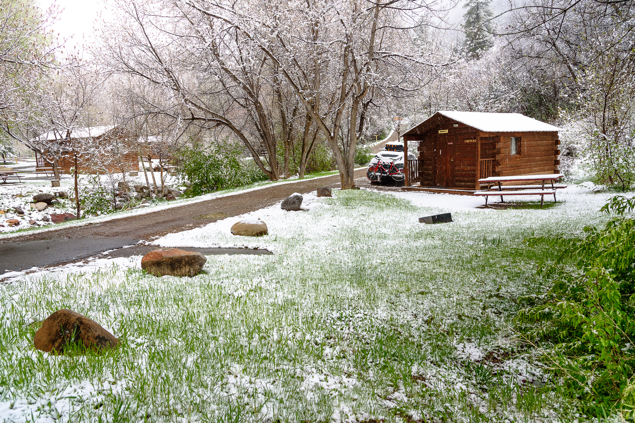 Choosing to go cabin over tent, pro move.