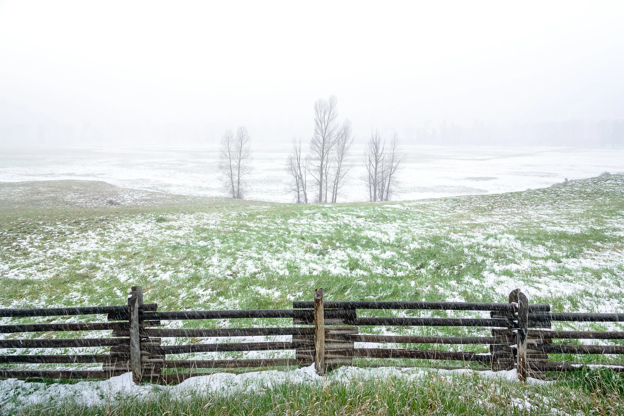  First signs of trouble, beautiful trouble that is.&nbsp; Pagosa Springs, CO. 