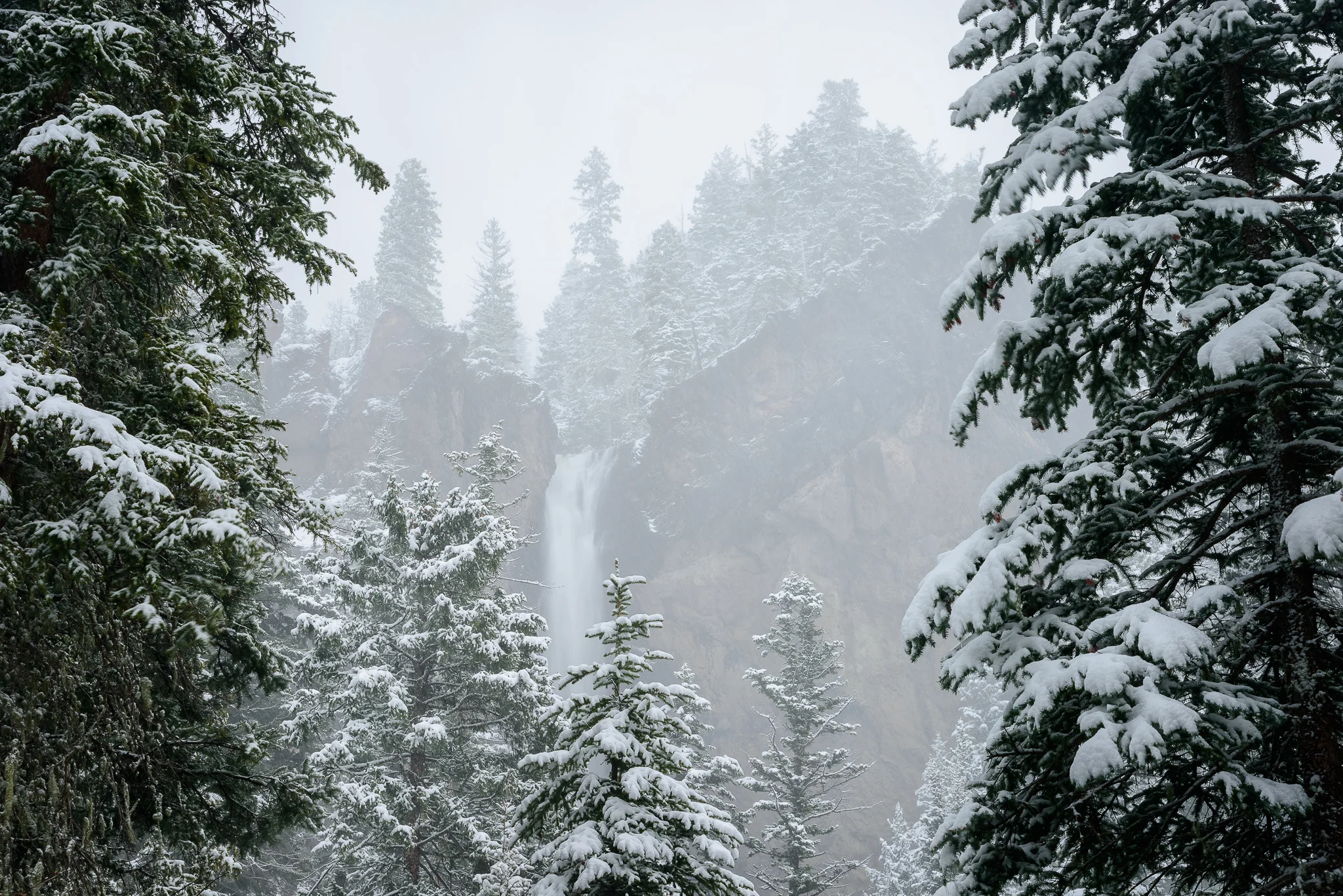  Treasure Falls peaking through the trees.&nbsp; Wolf Creek Pass, CO. 