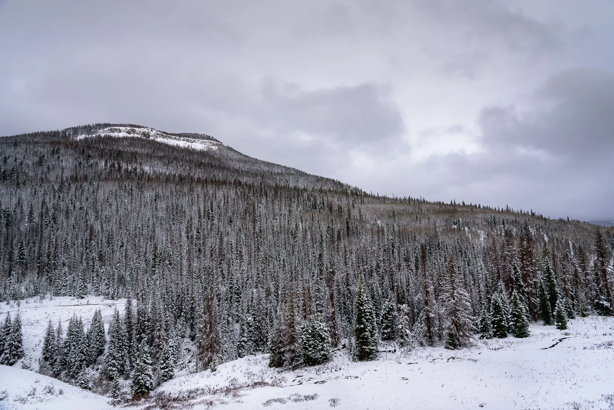  Continental Divide.&nbsp; Wolf Creek Pass, CO. 