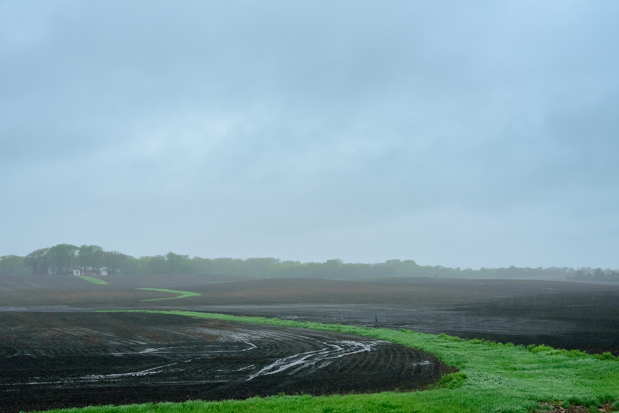 The day of rain. All the rain. Emmons, MN.