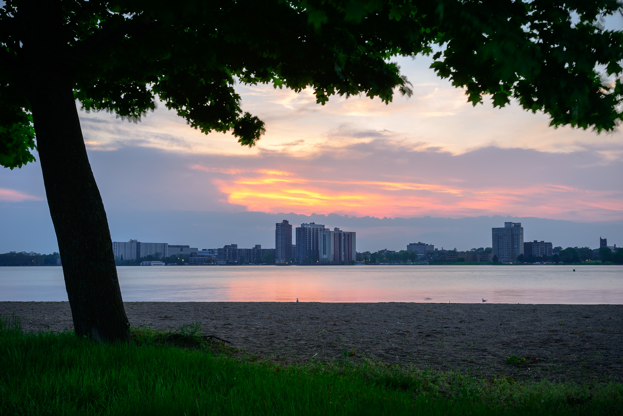Belle Isle, my newest muse. Detroit, MI.