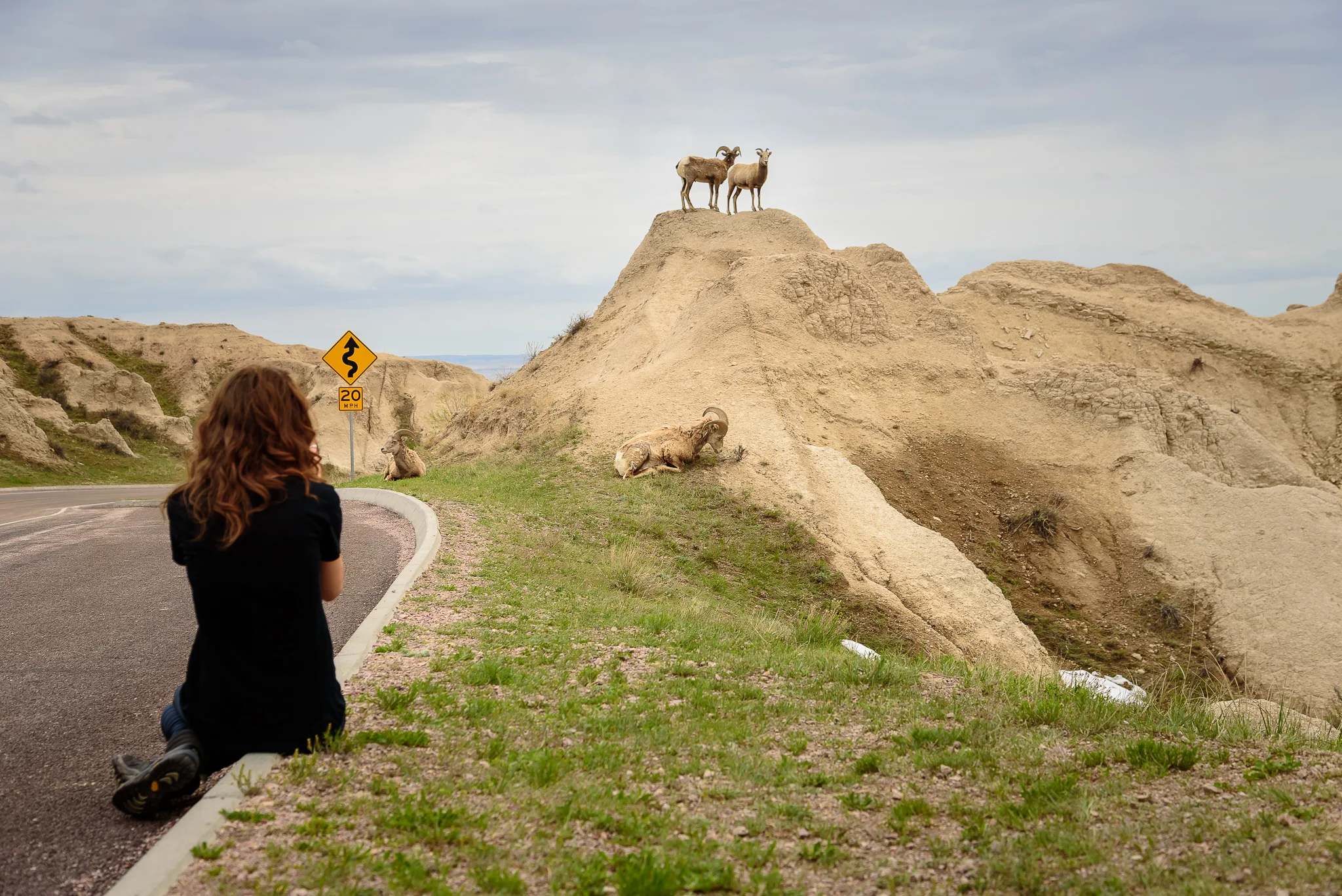  Lucky we stopped, right?&nbsp; Badlands National Park, SD. 