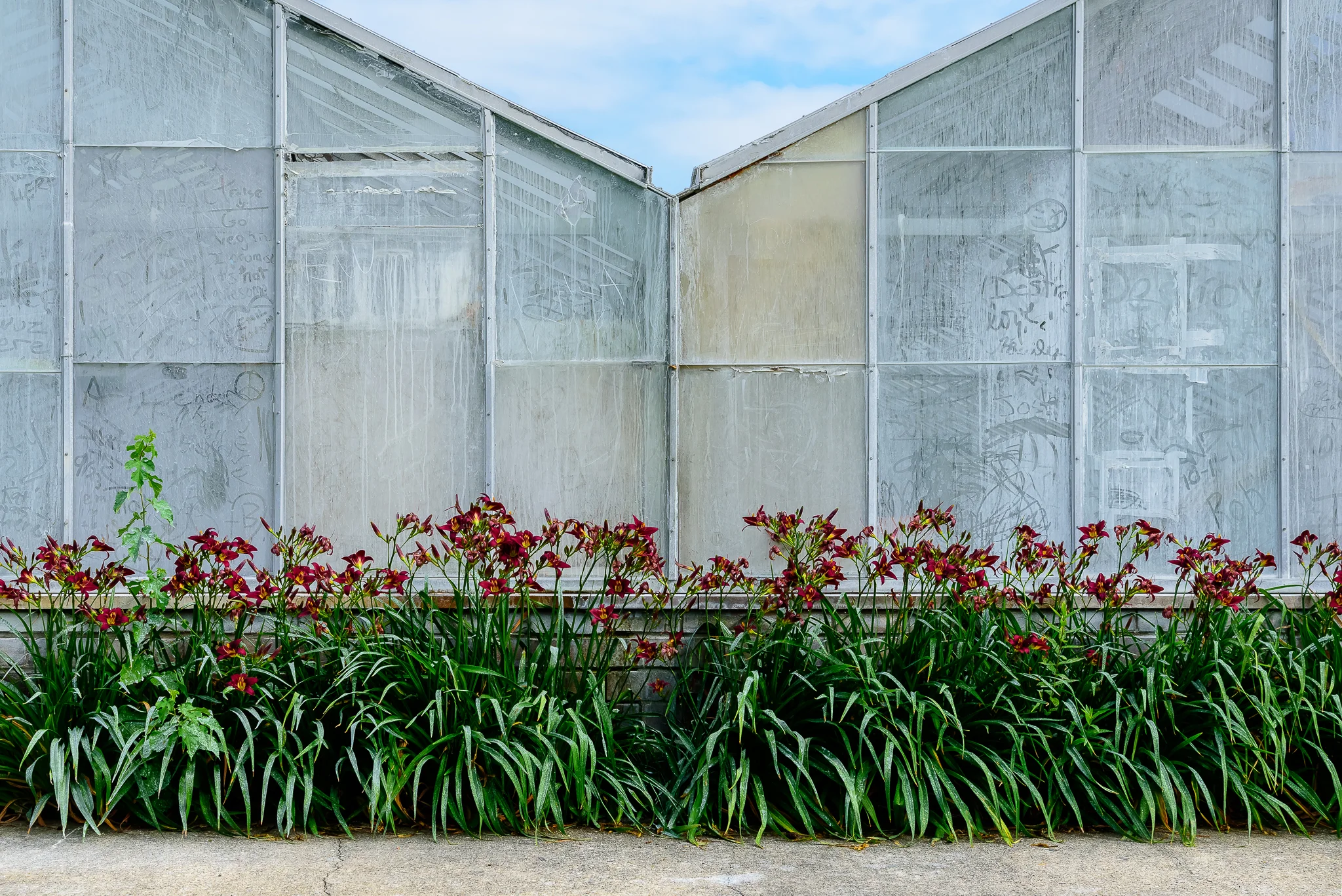 What You Learn In A Month