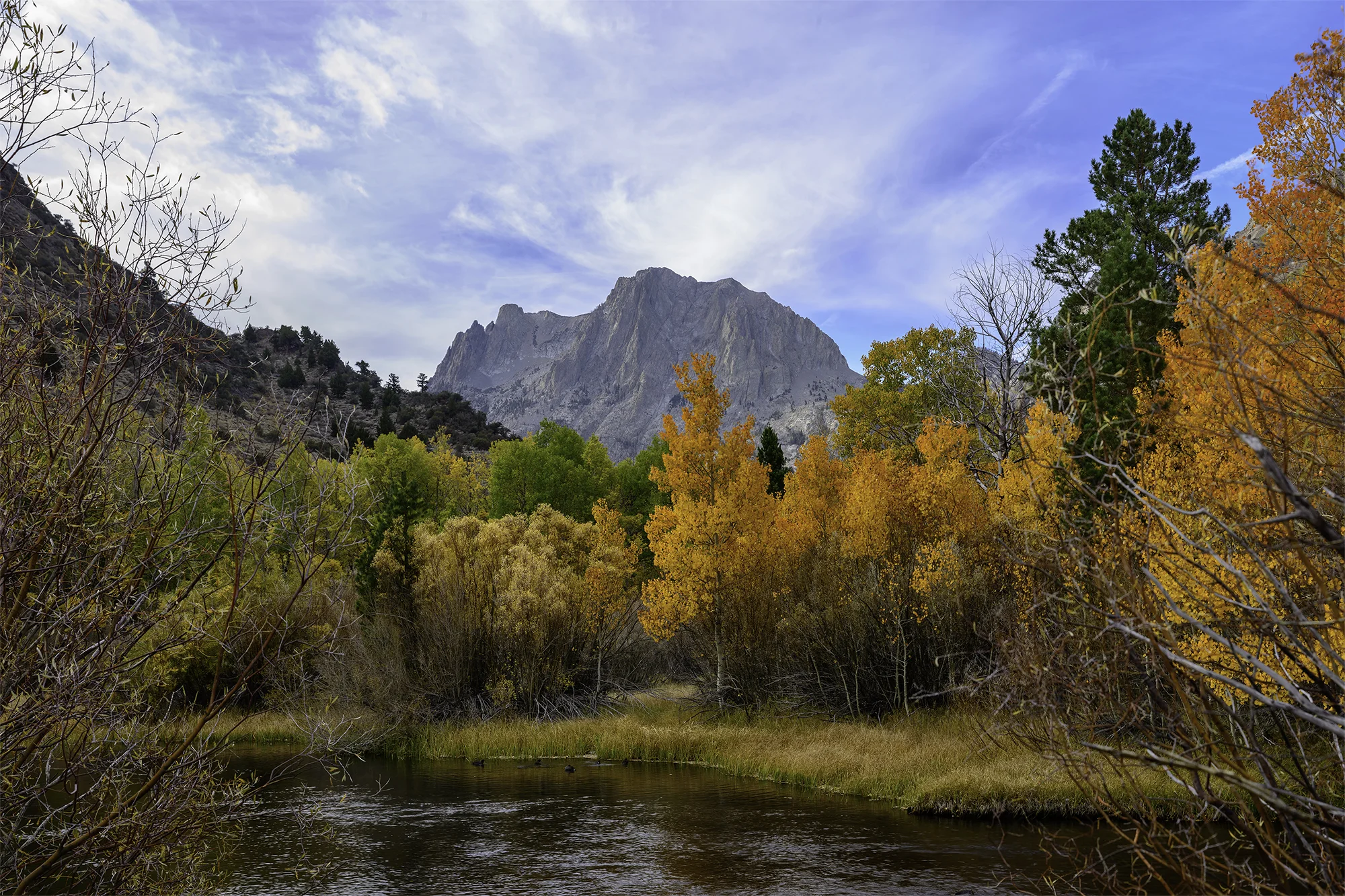 Eastern Sierras Fall 2019