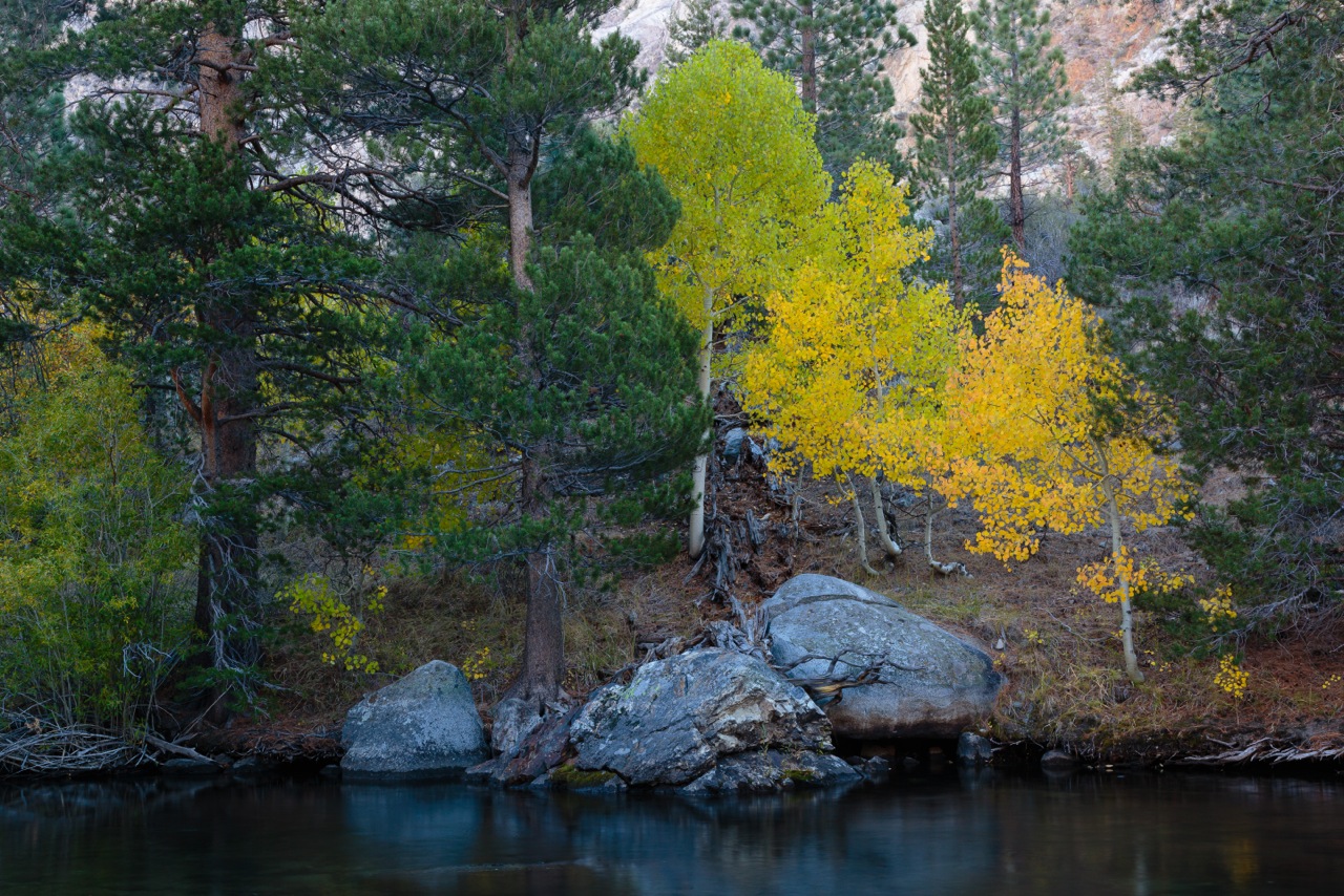 Lisa Erdberg - Eastern Sierra Workshop