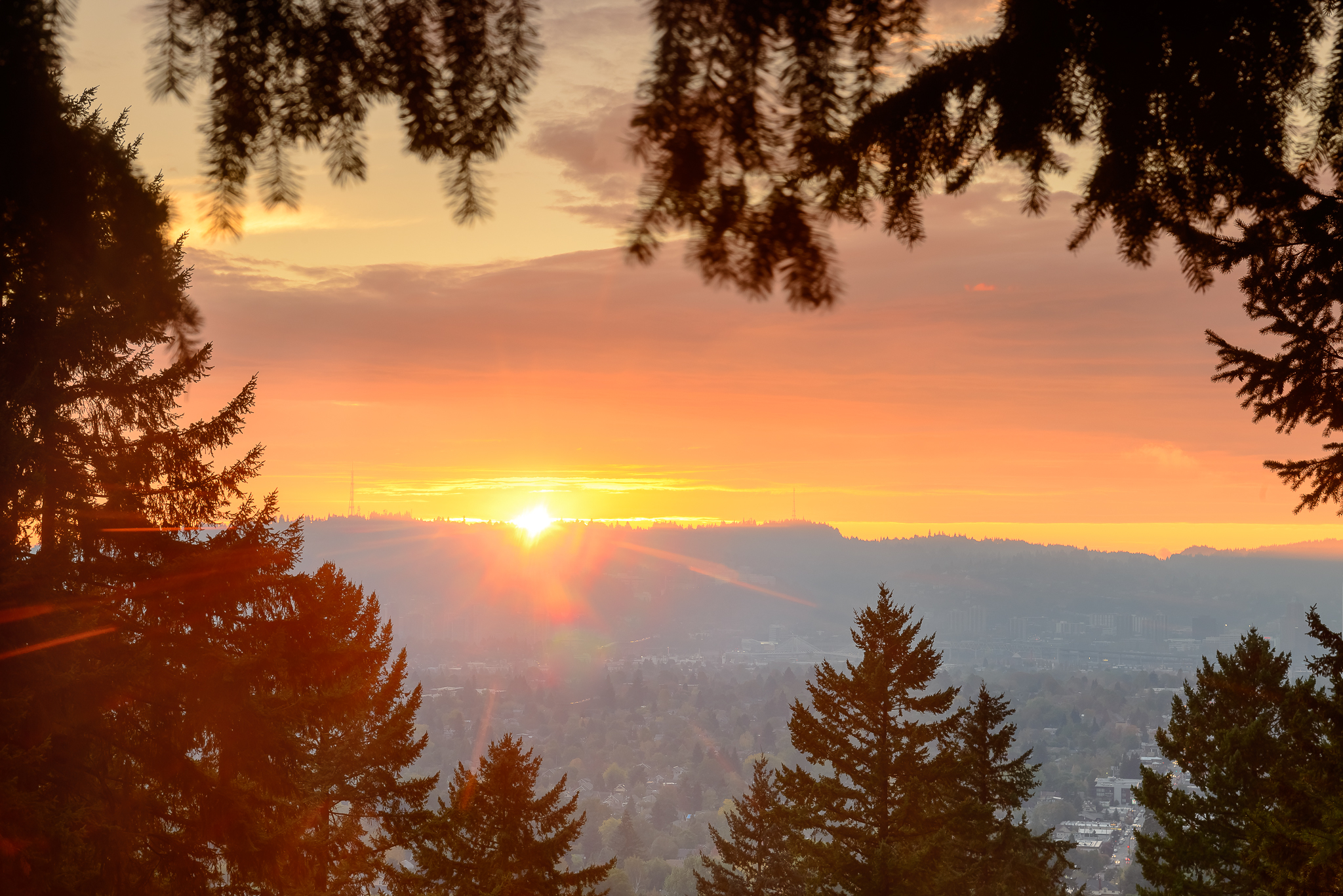 First visit, lucky window. Mt Tabor, Portland.