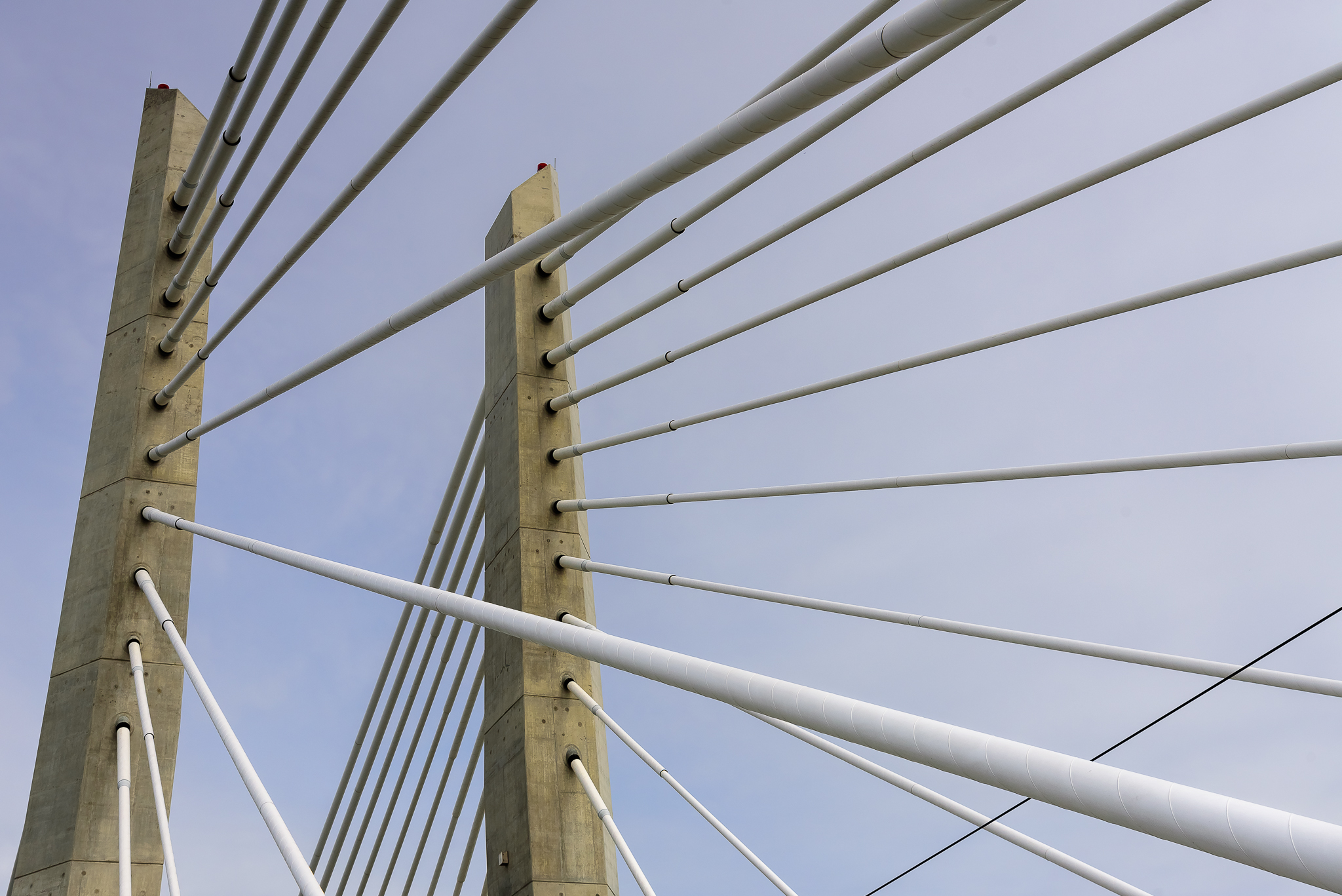They almost look climbable. Tilikum Crossing, Central Portland.