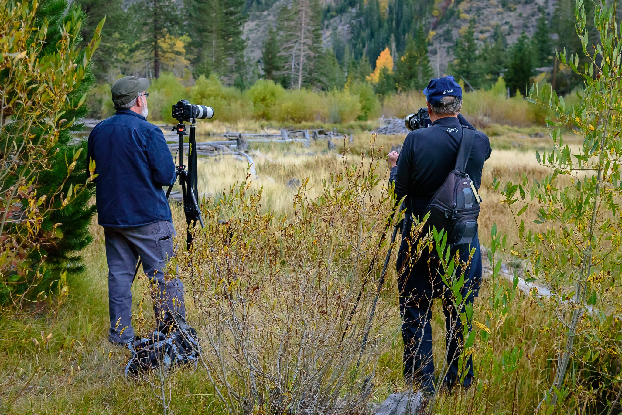 lundy_canyon_duo_marsh.jpg