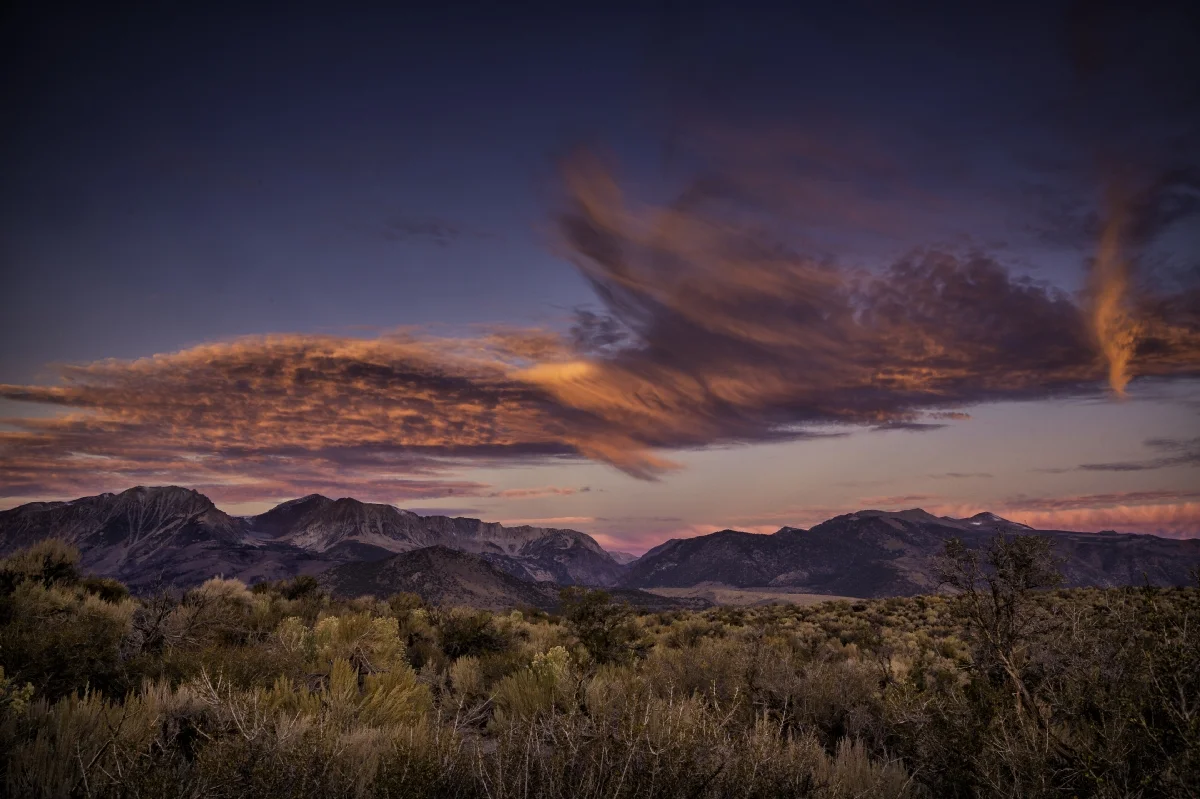 Tim Hacker - Eastern Sierra Workshop