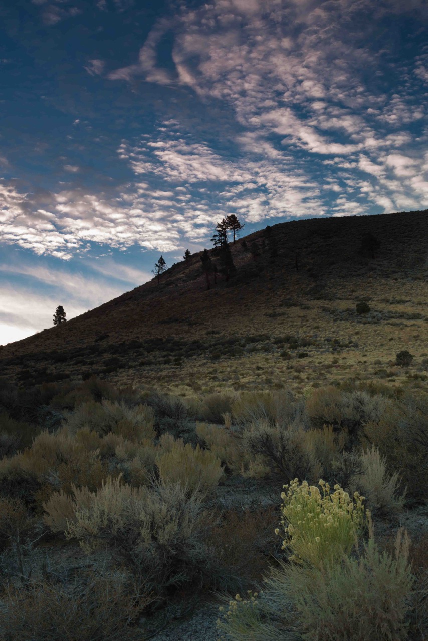 Lisa Erdberg - Eastern Sierra Fall Workshop