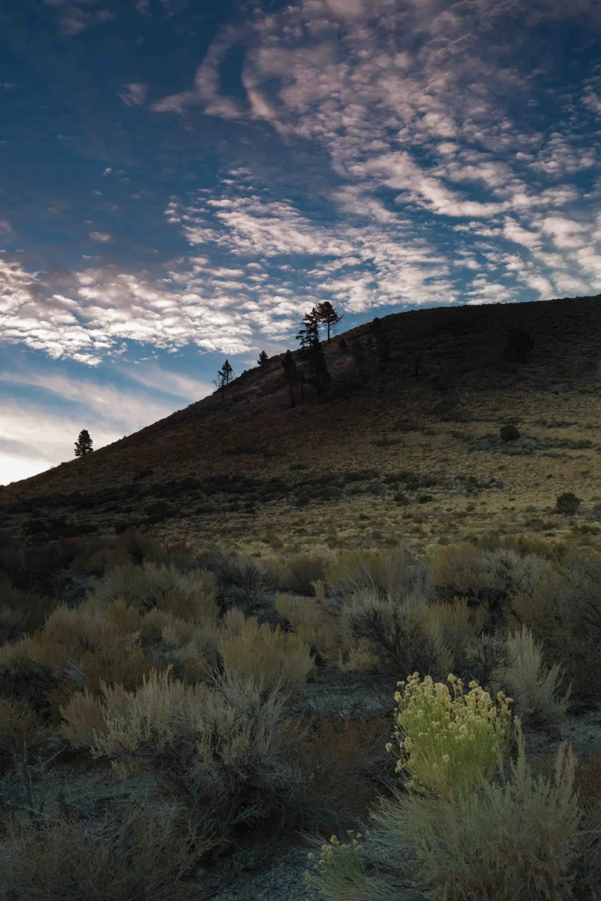 Lisa Erdberg - Eastern Sierra Fall Workshop