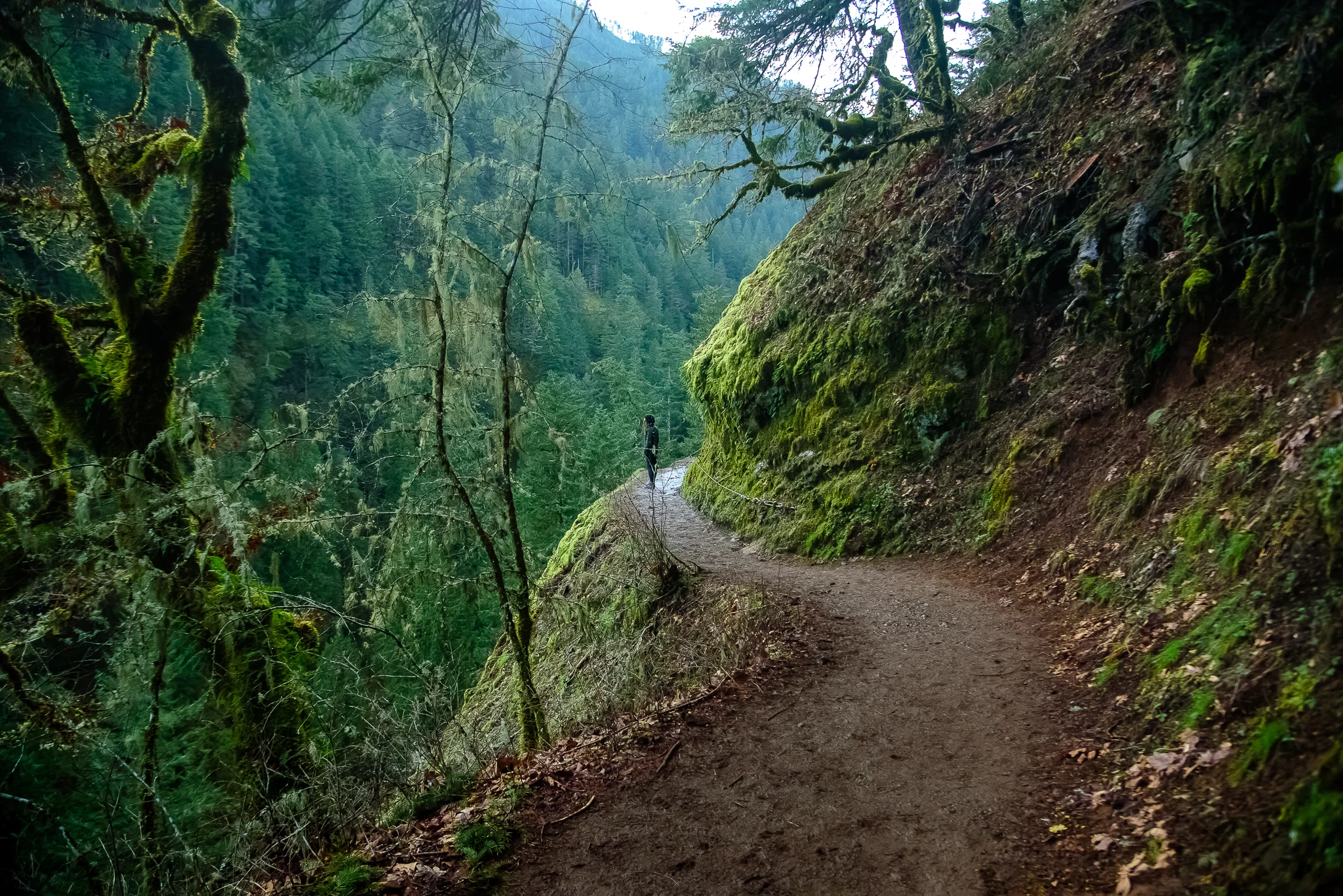 portland_eagle_creek_hiking-3.jpg