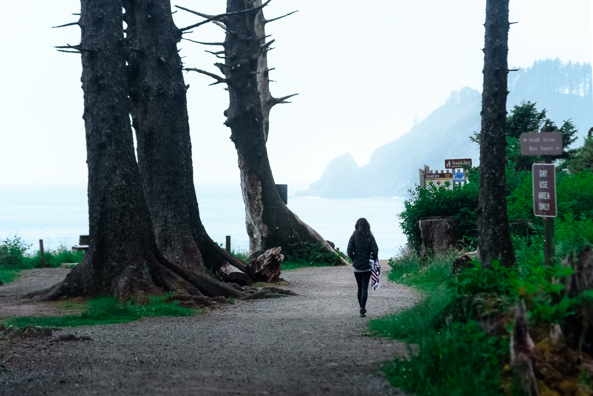 Local suggestion: Short Sands. Oswald West State Park, OR.