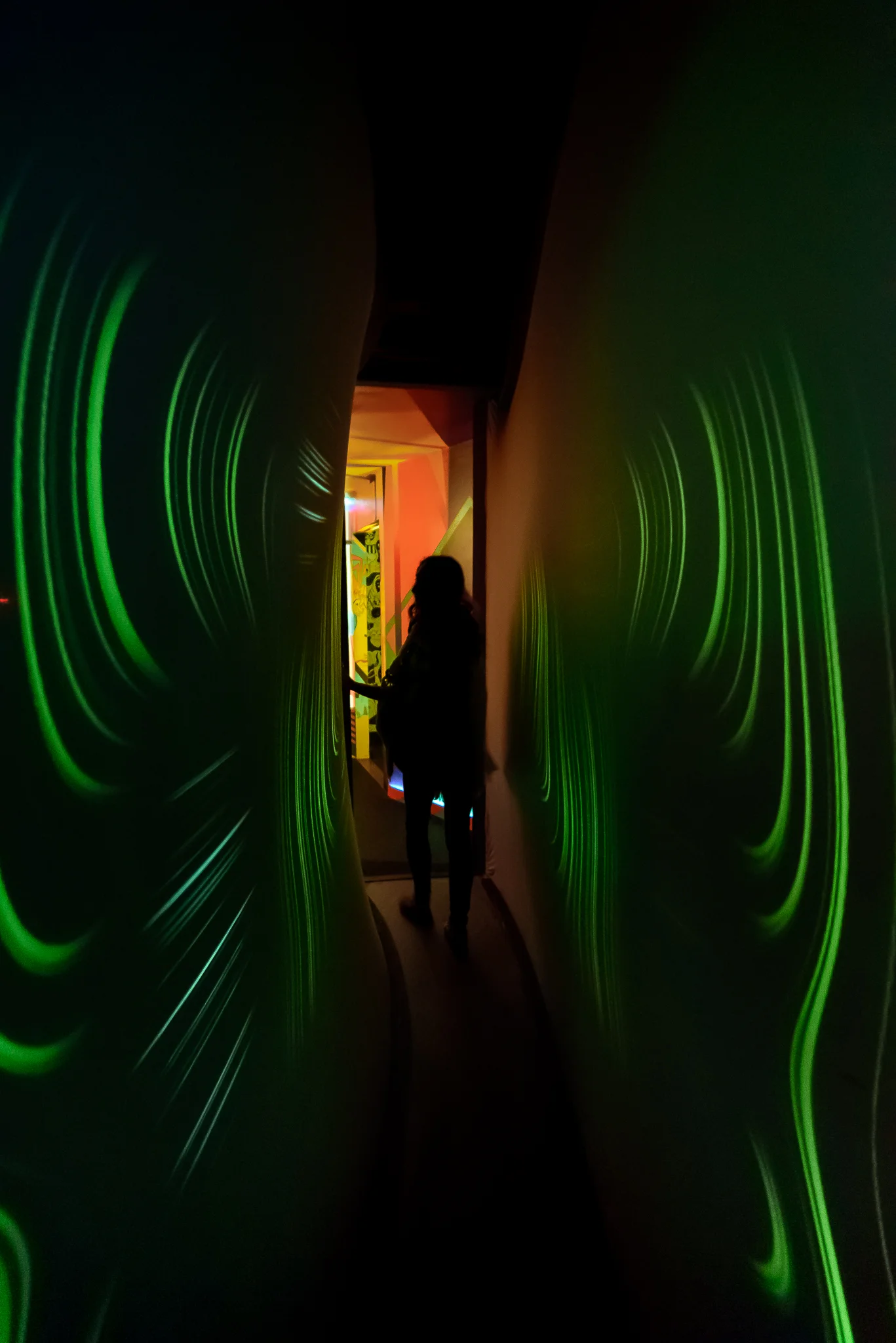 When walls give you wings. Meow Wolf. Santa Fe, NM.