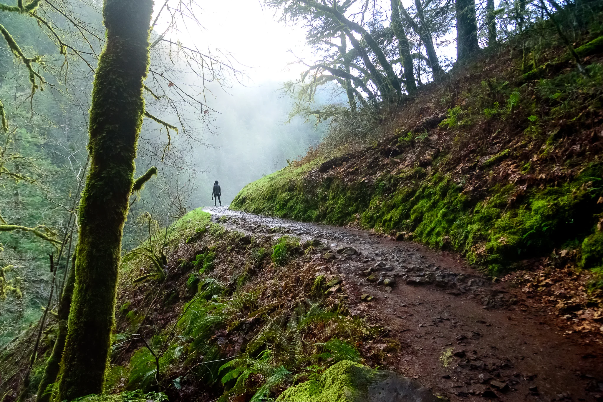 February Soak: Portland