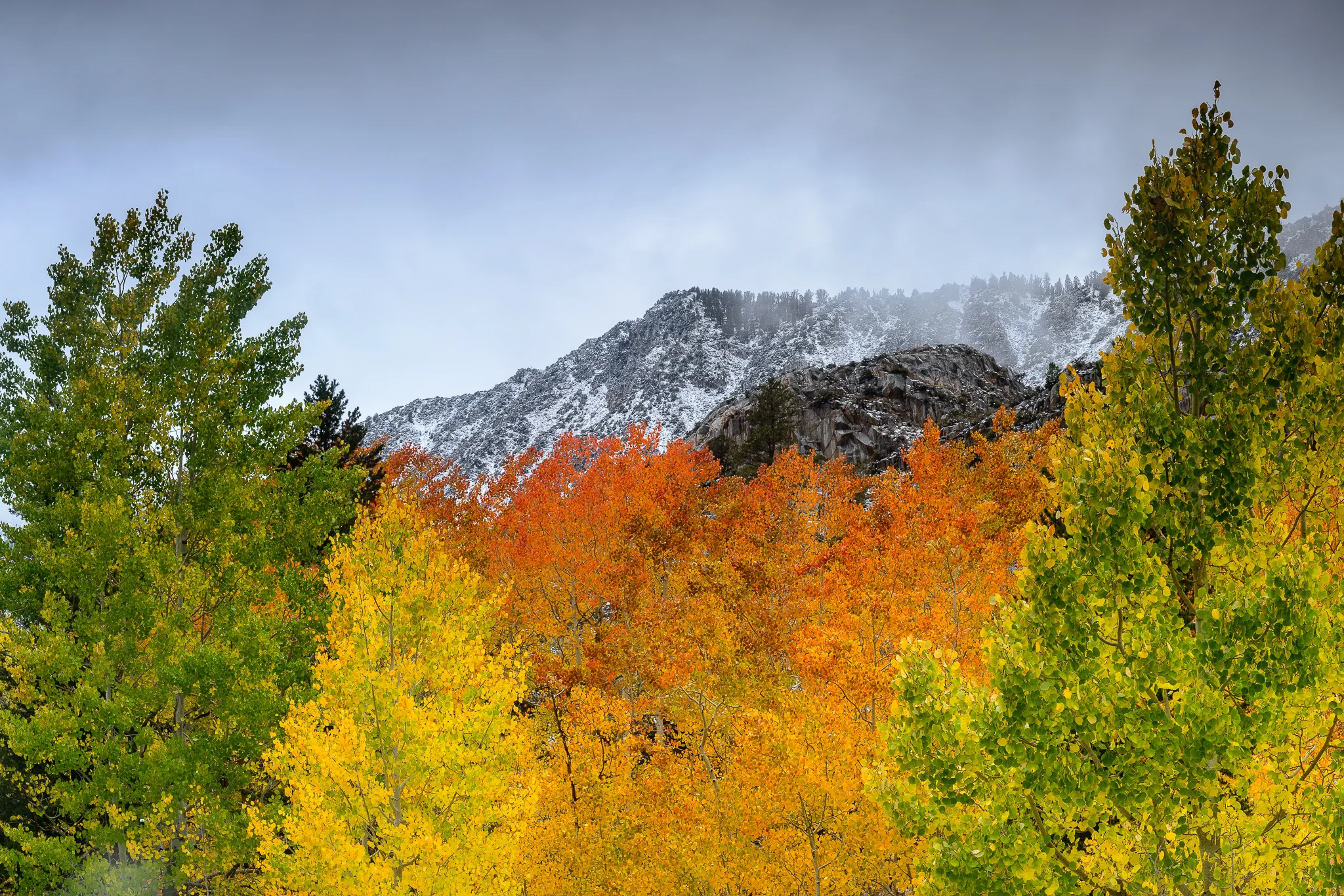 Eastern Sierra Fall Photography Workshop Recap