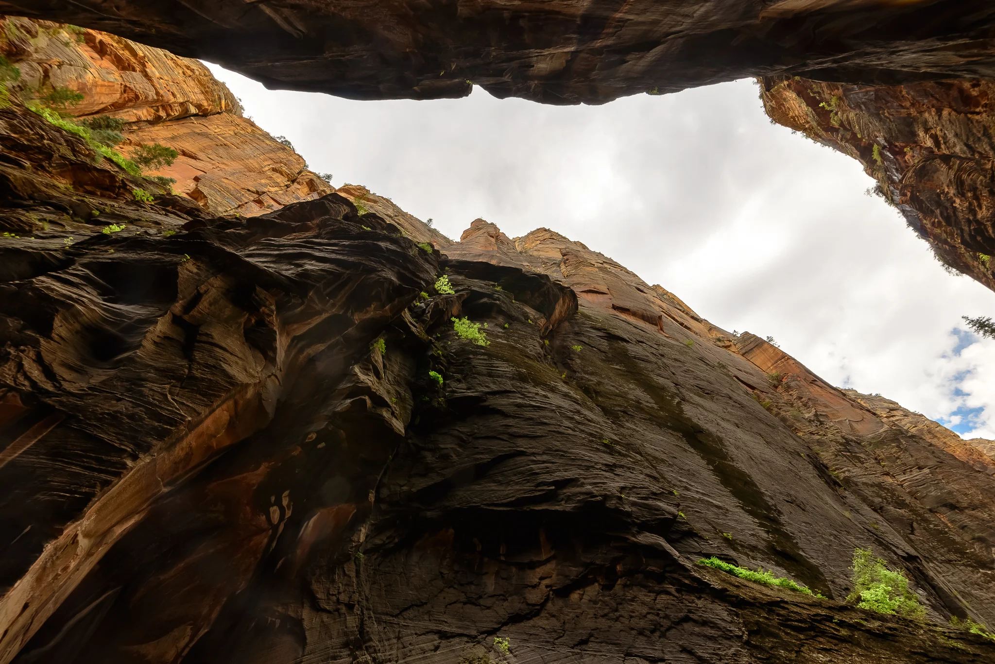 zion_zarrows_wall_street_upward