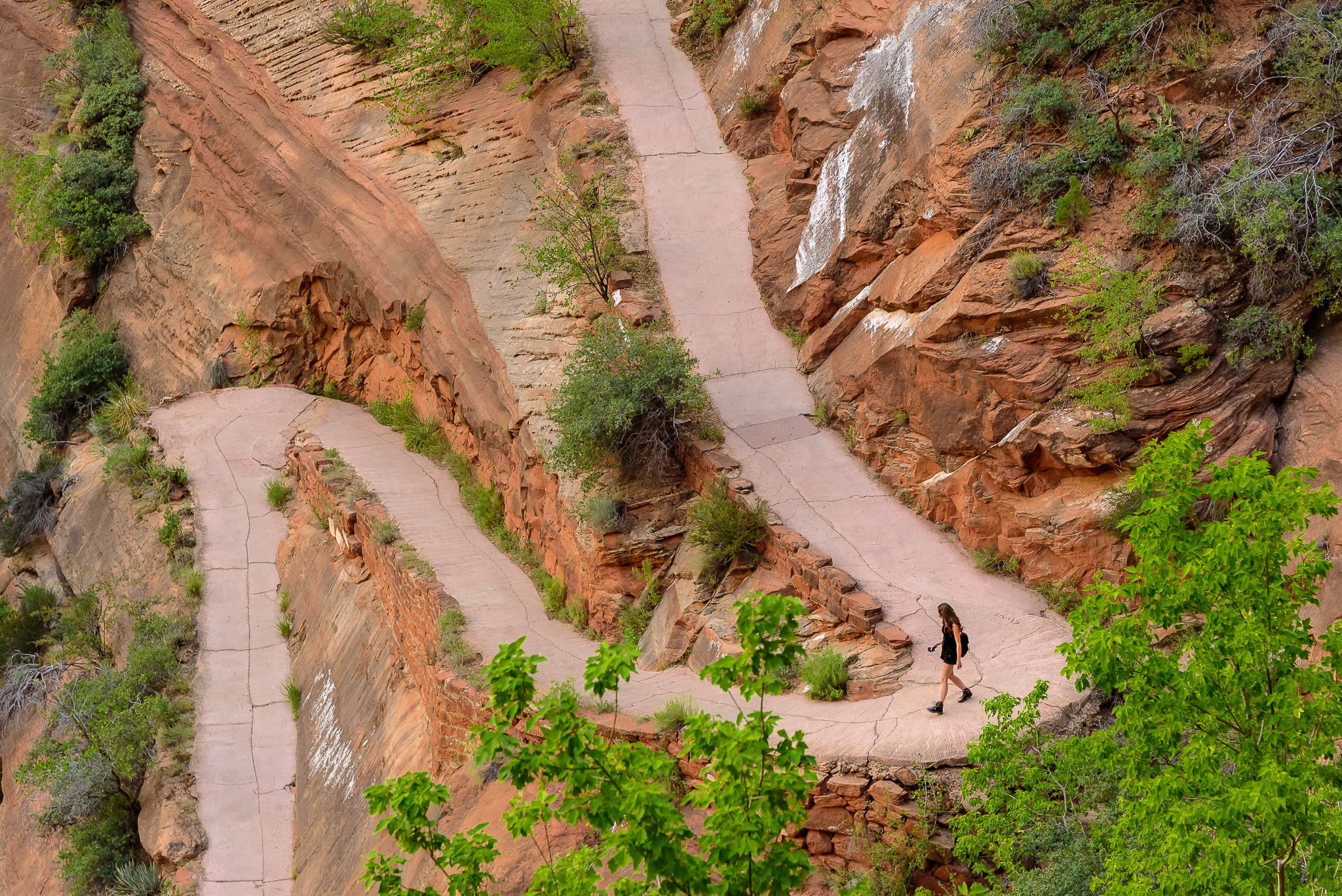 The path of Angels, but yet far from their Landing. Zion National Park, UT.