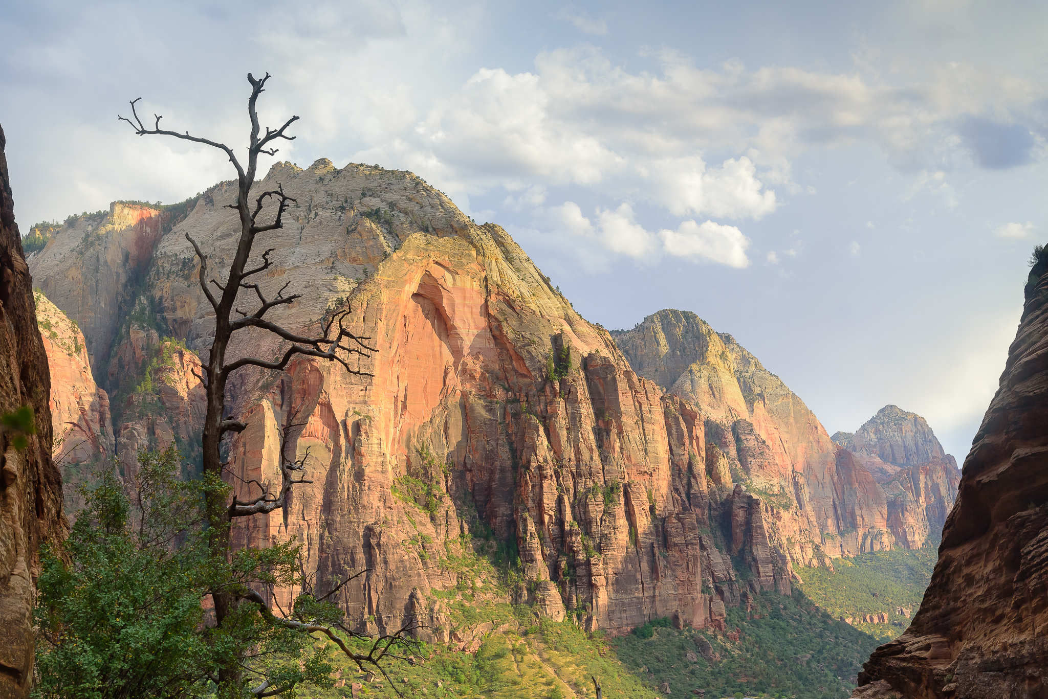 A quicker rise in elevation than anticipated. Zion National Park, UT.