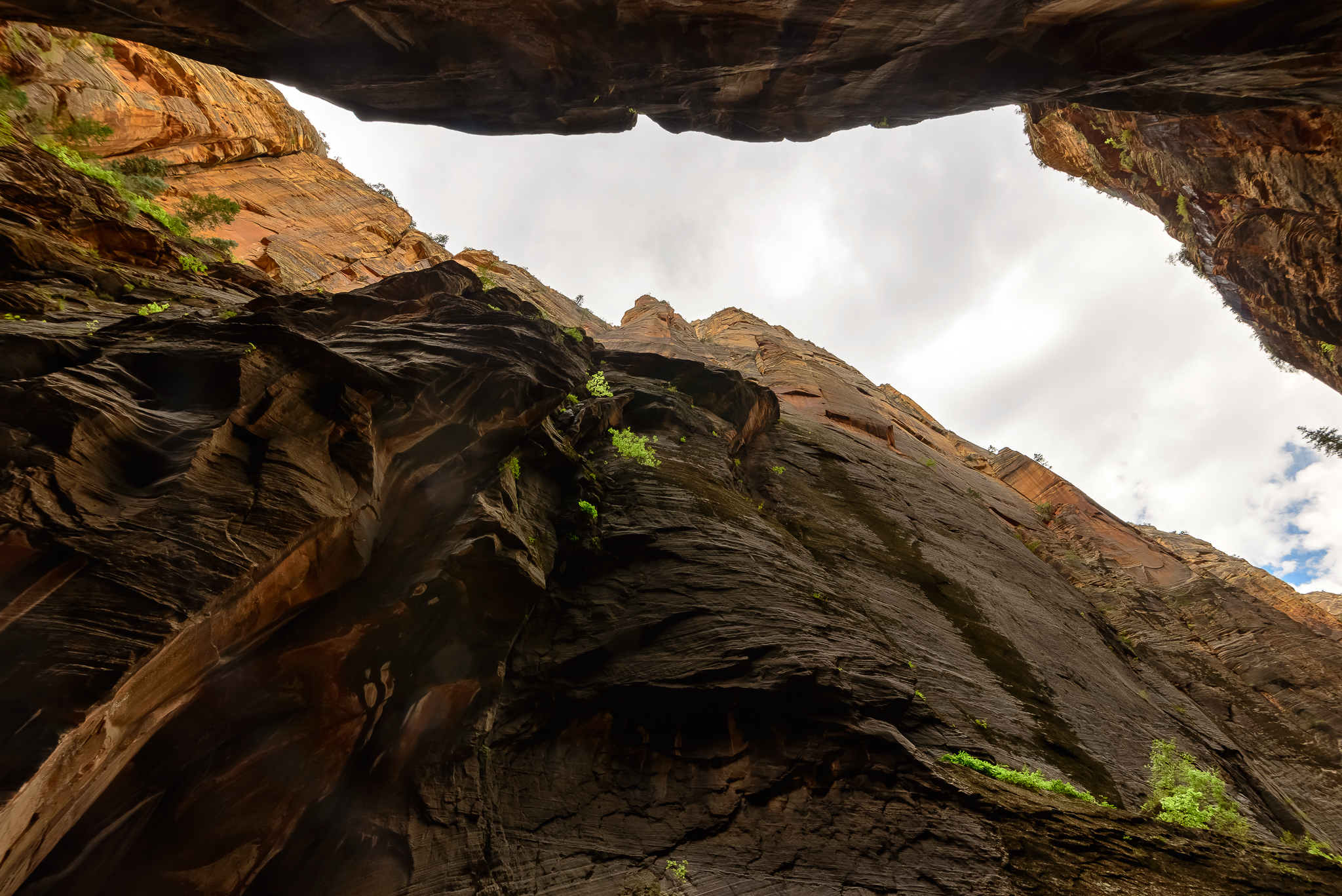 Inner sanctuary. Zion National Park, UT.