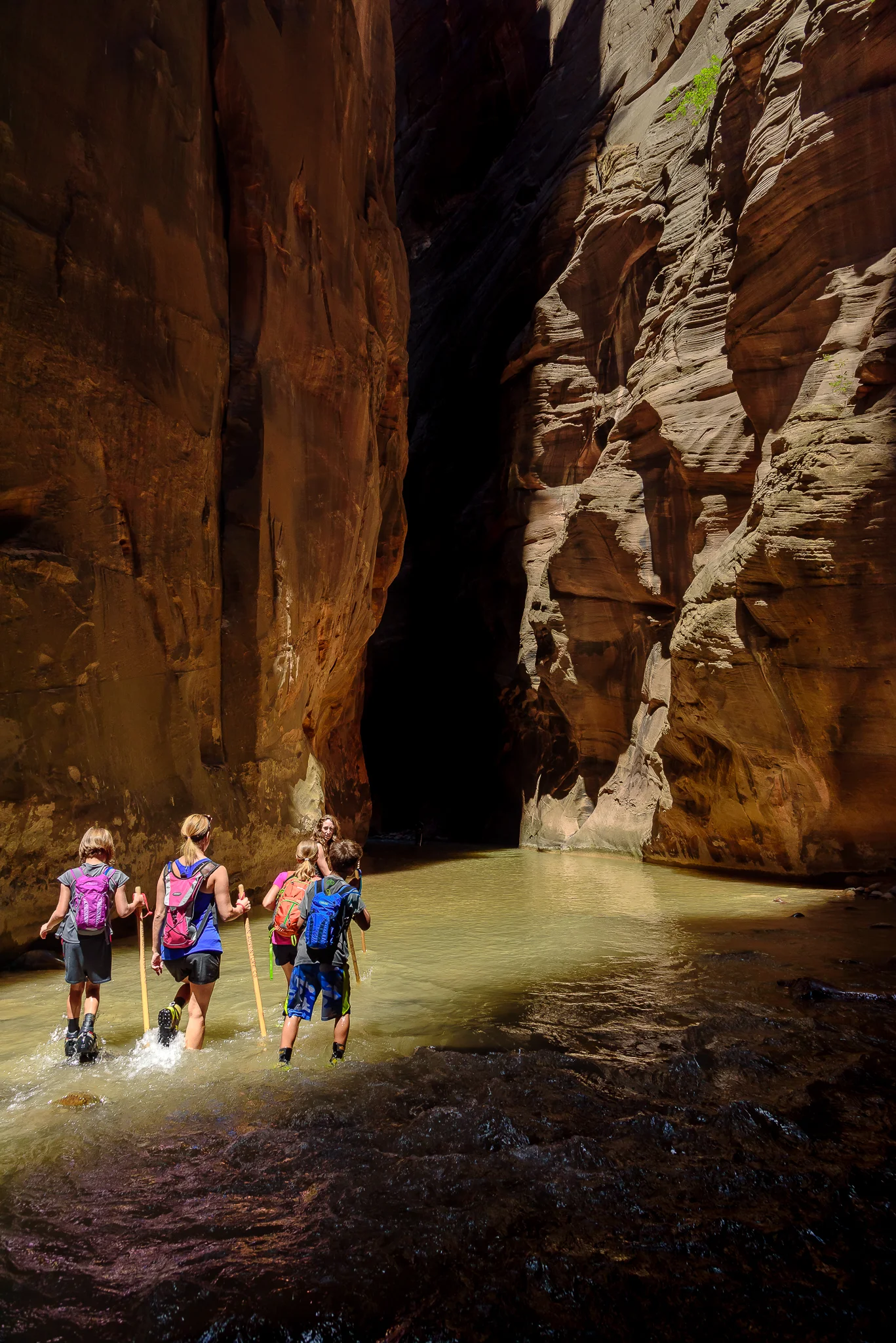Team trudging. Zion National Park, UT.