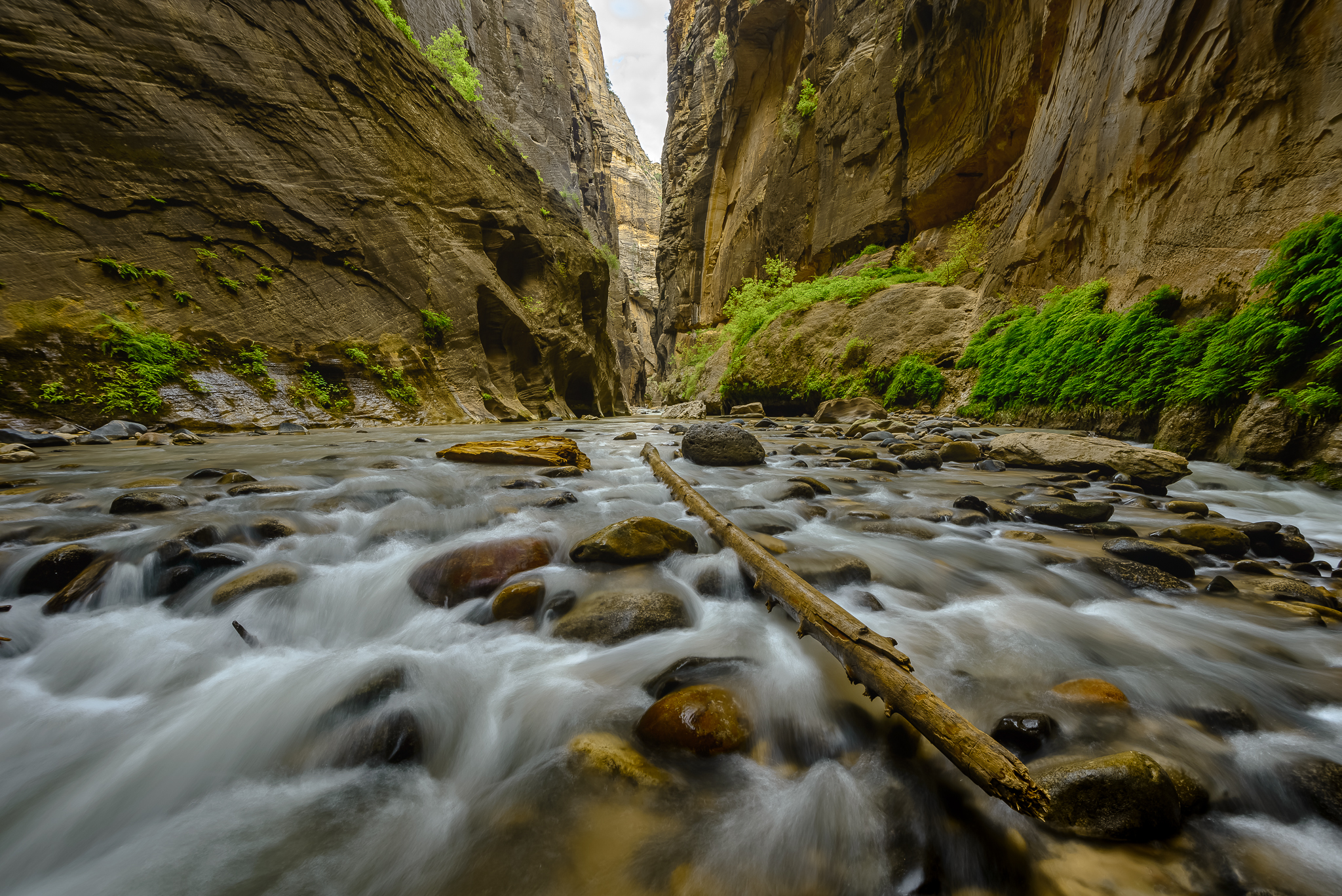 Zion National Park, UT.