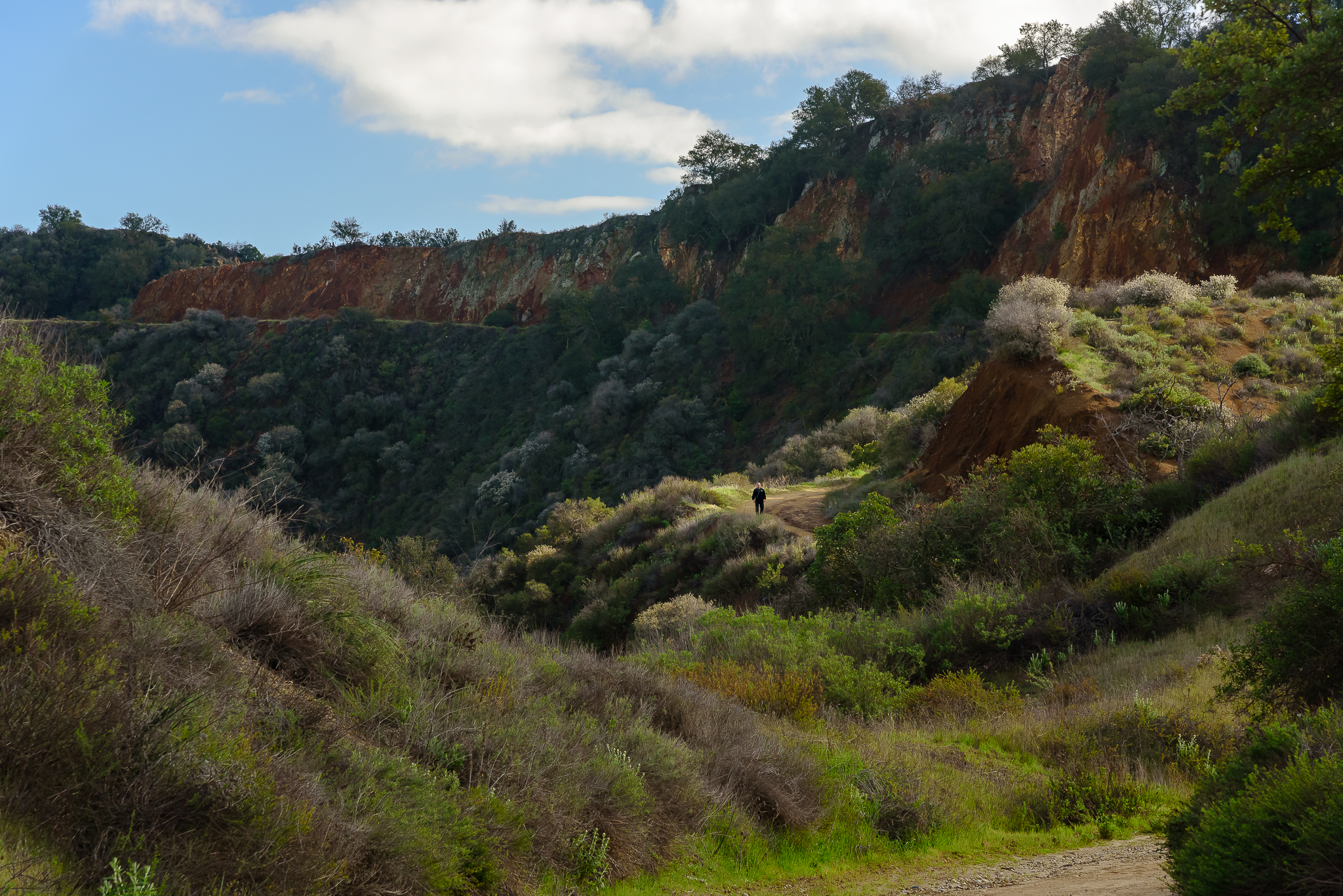 California in its most rare form: LUSH. Topanga, CA.
