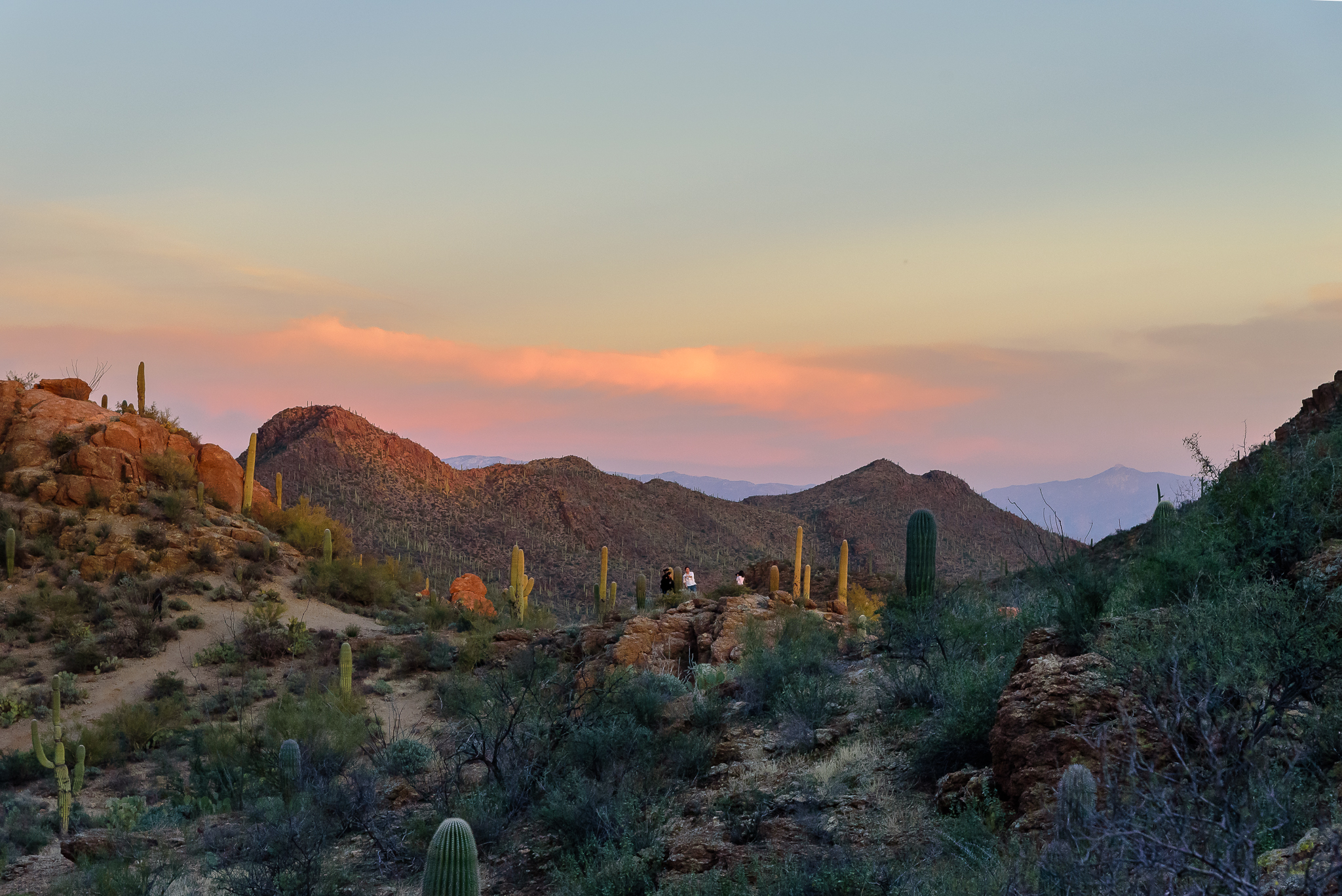 Family smiles among the cacti. Tuscon Mountain Park, AZ.