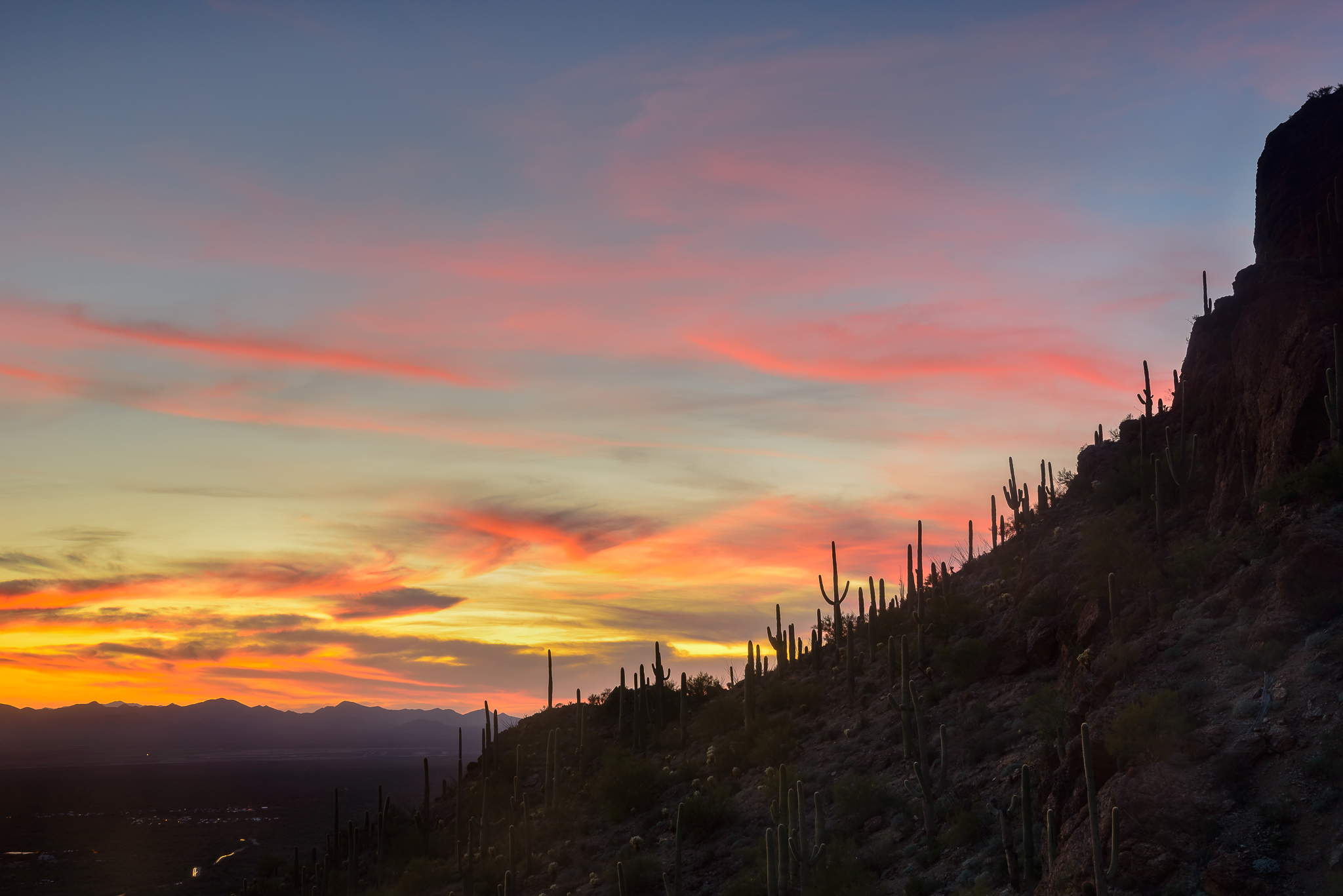 Tucson Mountain Park, AZ.