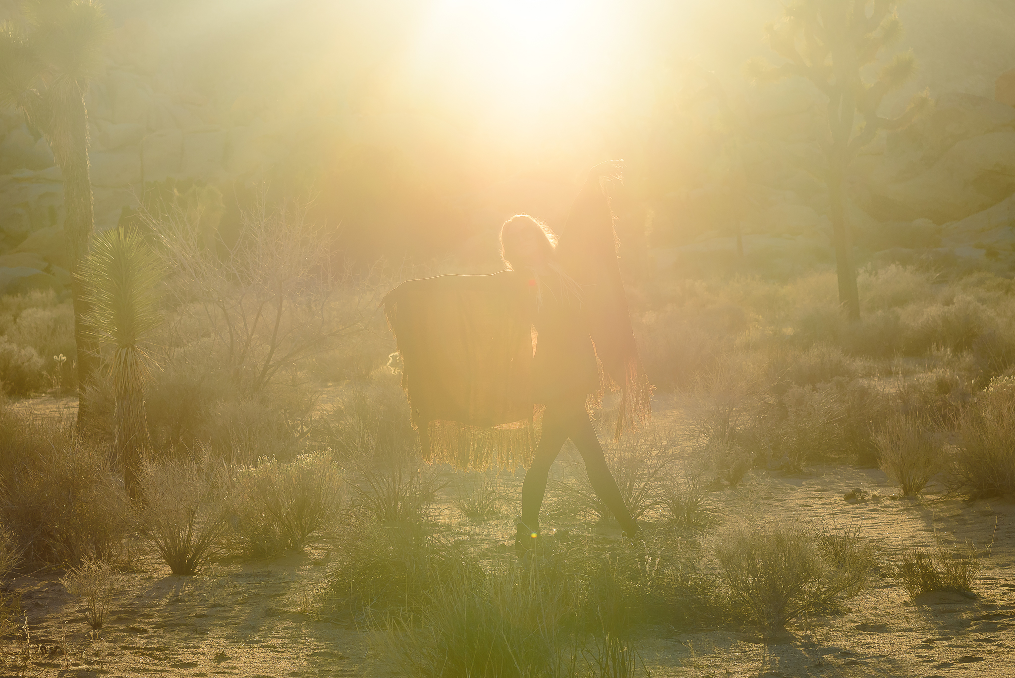 Shine on. Joshua Tree National Park, CA.