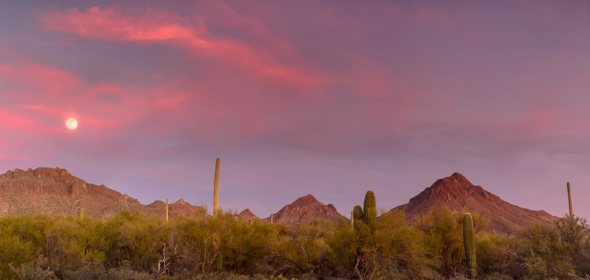 Surprise moonrise cameo.  Tucson Mountain Park, AZ.