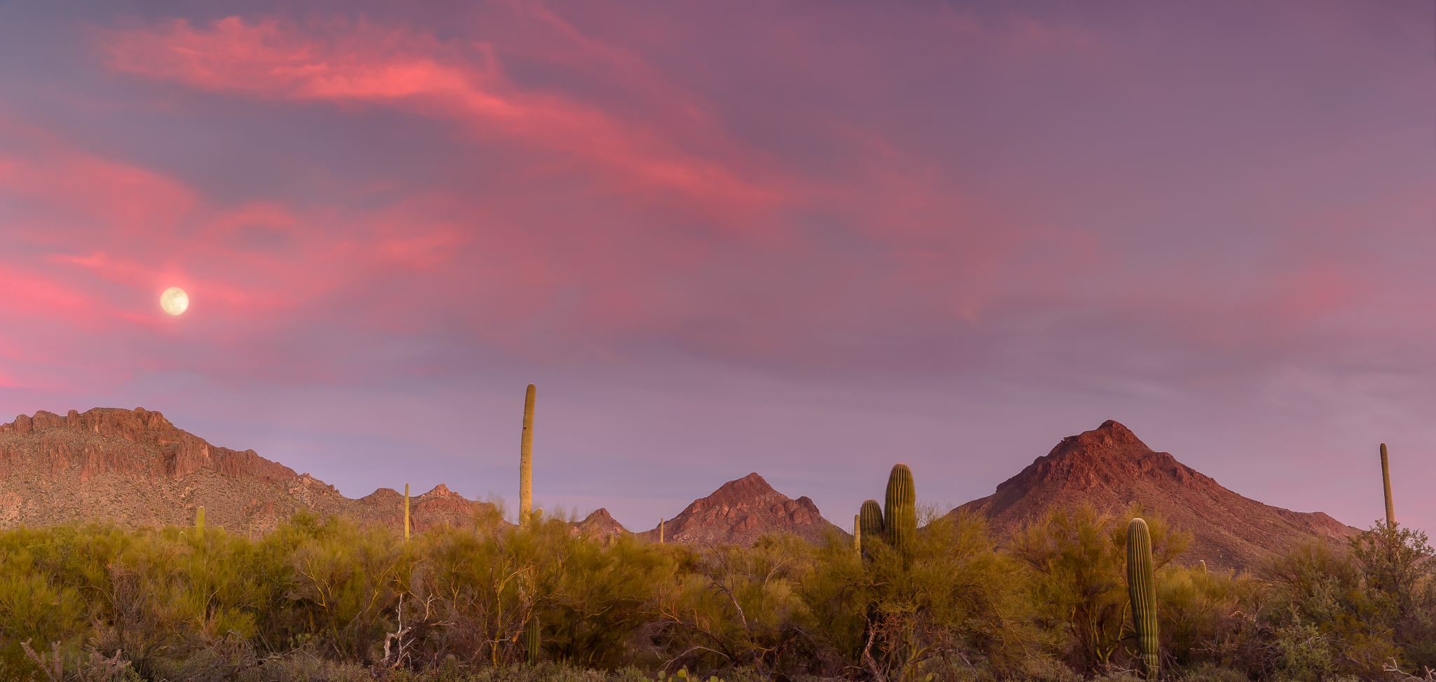 Surprise moonrise cameo. Tucson Mountain Park, AZ.