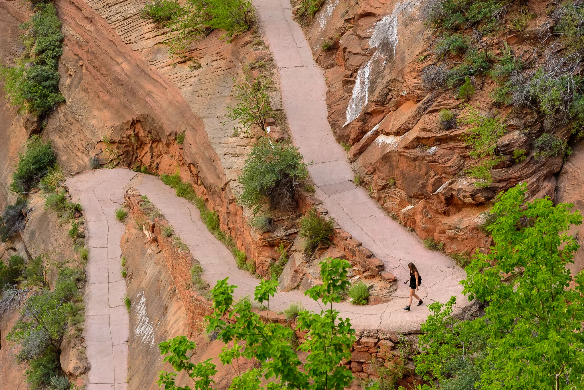 zion_angels_landing_hiking_trail.jpg