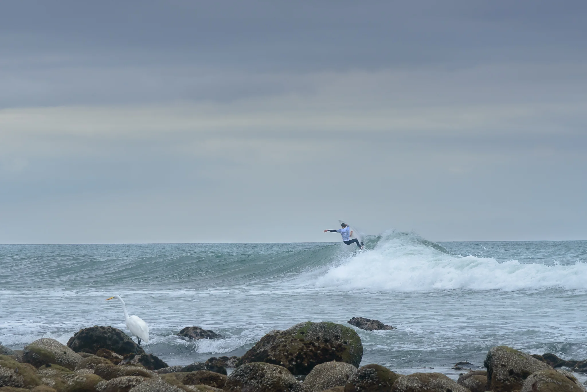 rincon_winter_surfing-2.jpg