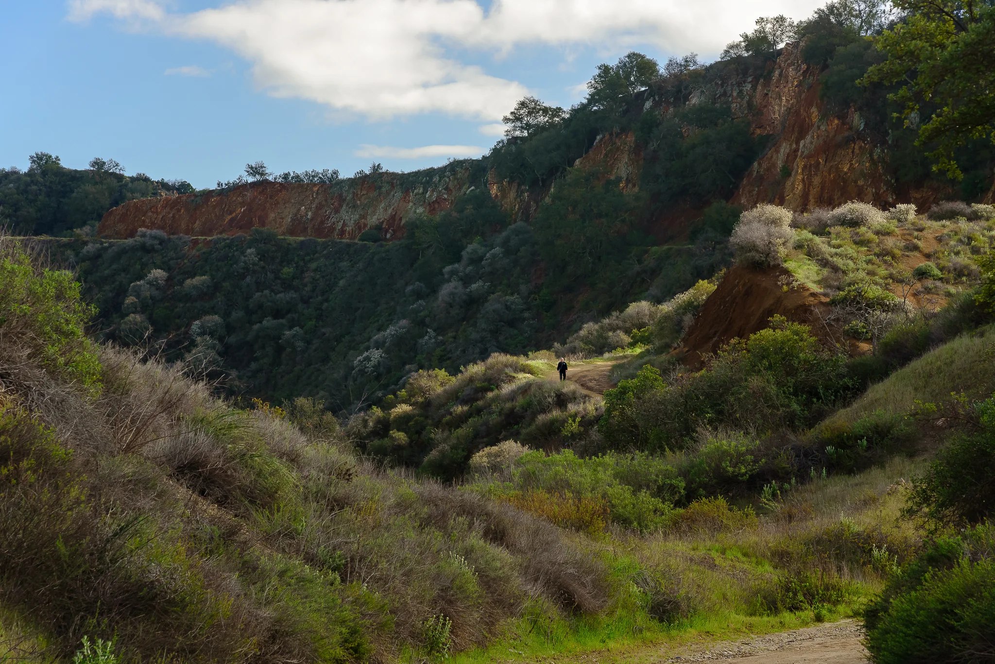 topanga_hiking_late_afternoon_winter.jpg