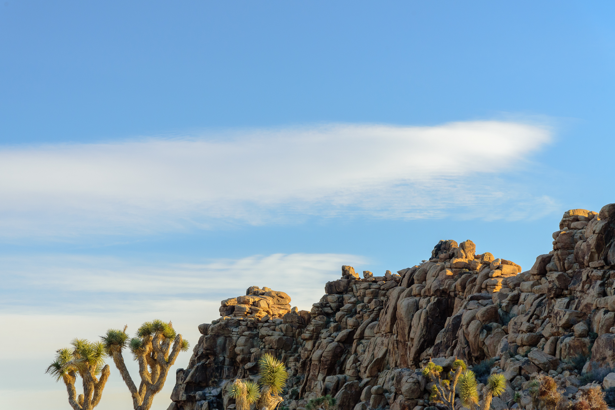 Joshua Tree National Park, CA.