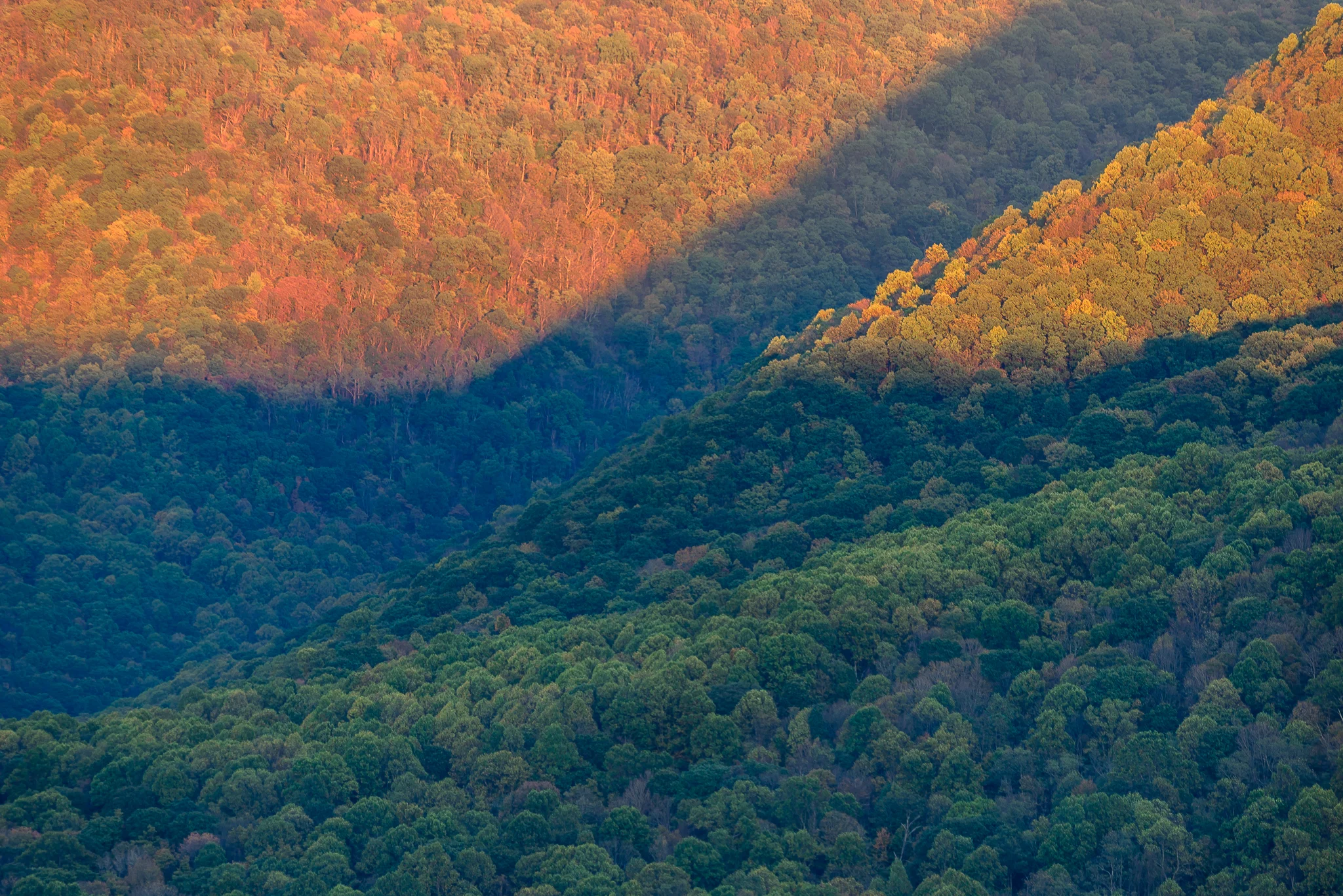 Sloping mountains making wonderful projection screens for the sun's late day rays. Ohiopyle State Park, PA.