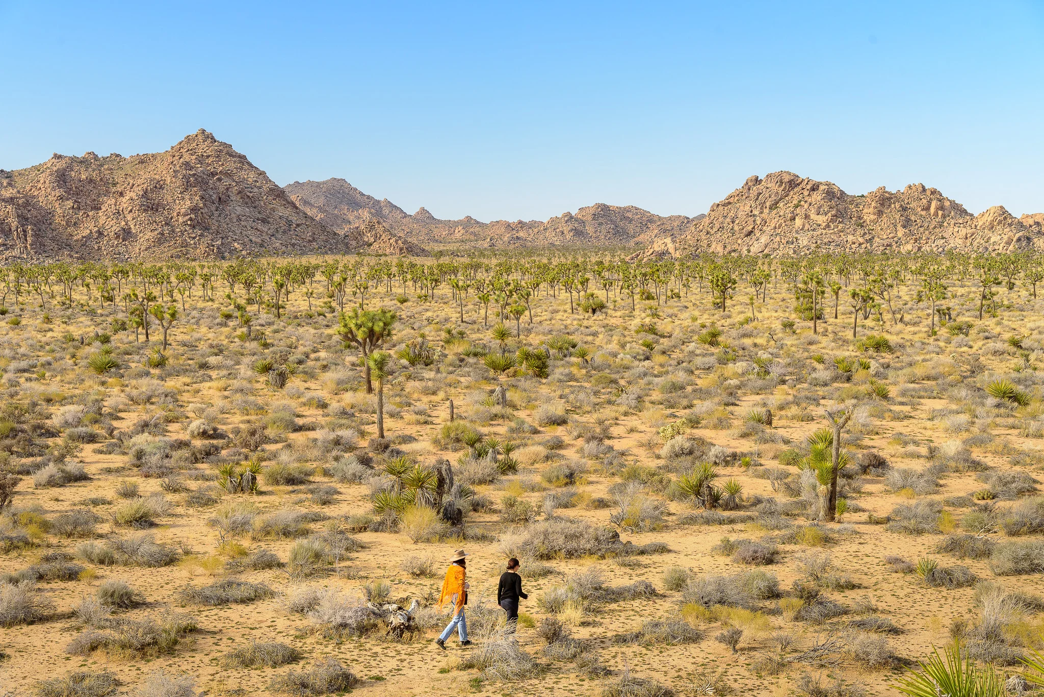joshua_tree_national_park_girls hike.jpg