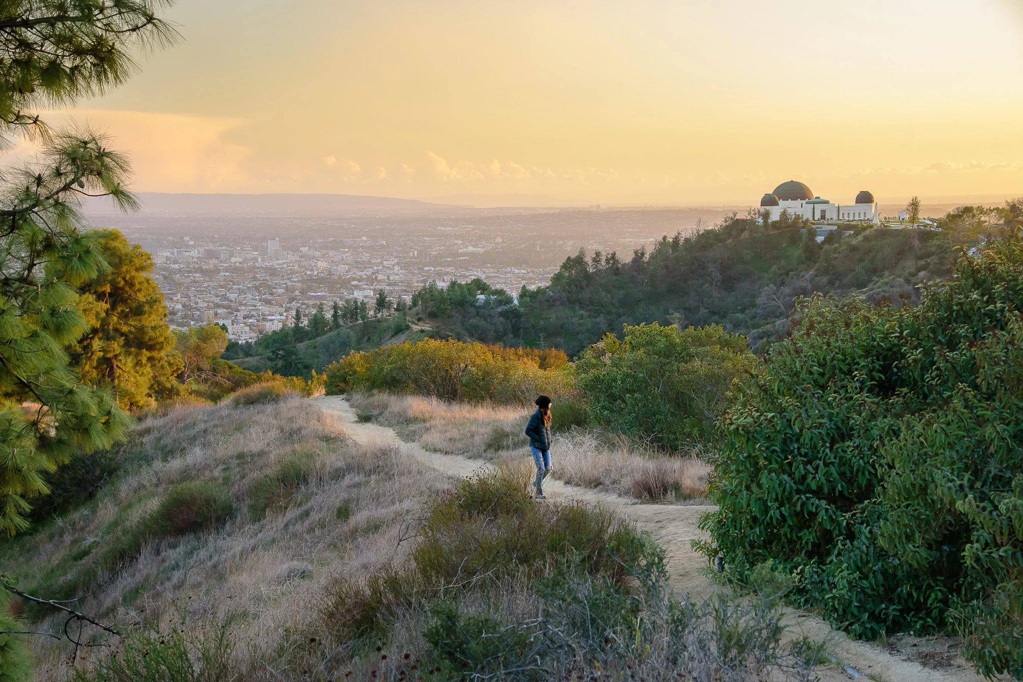 los_angeles_griffith_park_feb_hike.jpg