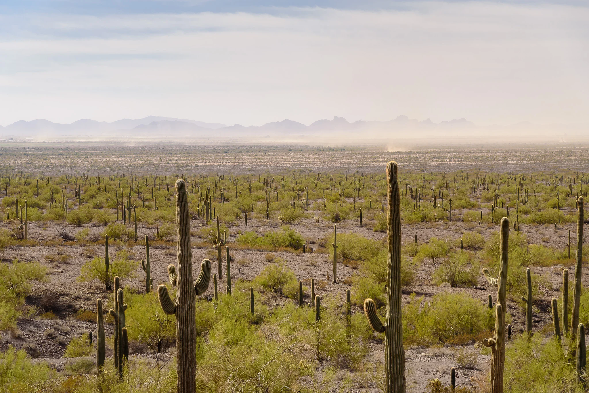 picacho_peak_state_park_hike.jpg